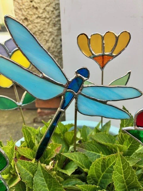 dragonfly2.jfif