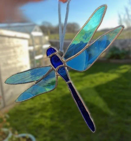 dragonfly.jfif