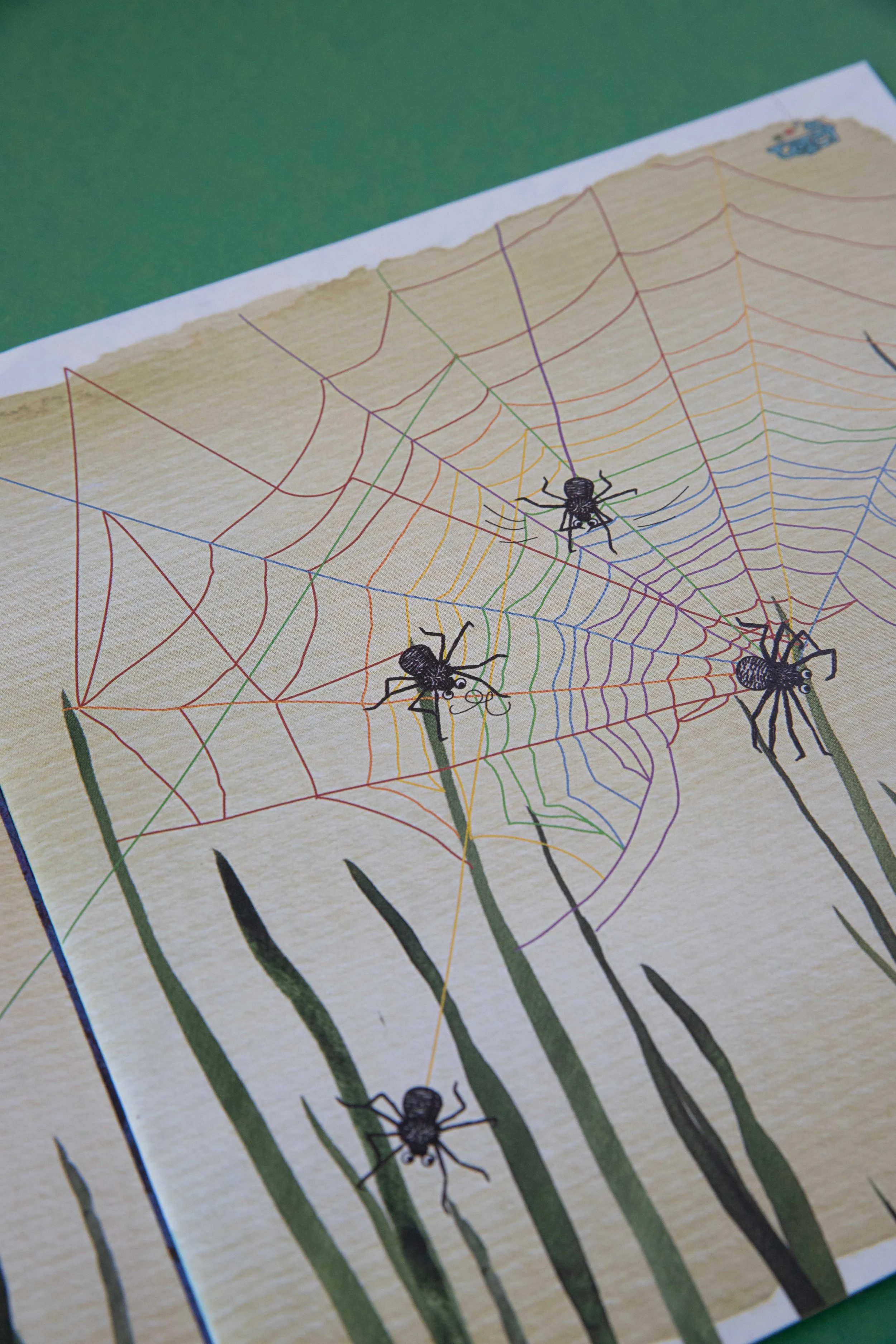 EKTARA, KINDERJOURNAL, KINDERILLUSTRATION, SPINNEN, SPIDERS