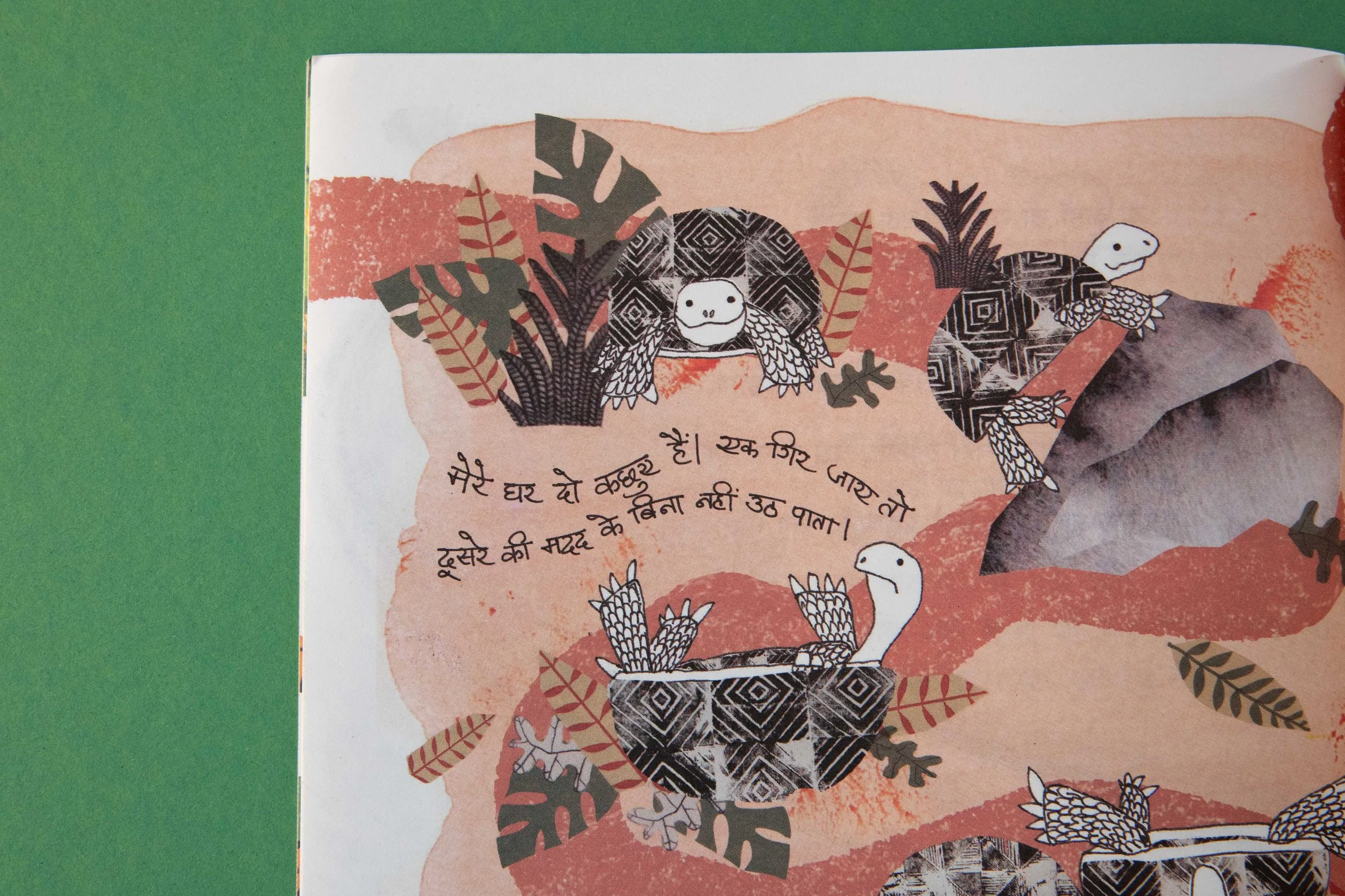 EKTARA, KINDERJOURNAL, KINDERILLUSTRATION, SCHILDKRÖTEN, TURTLES