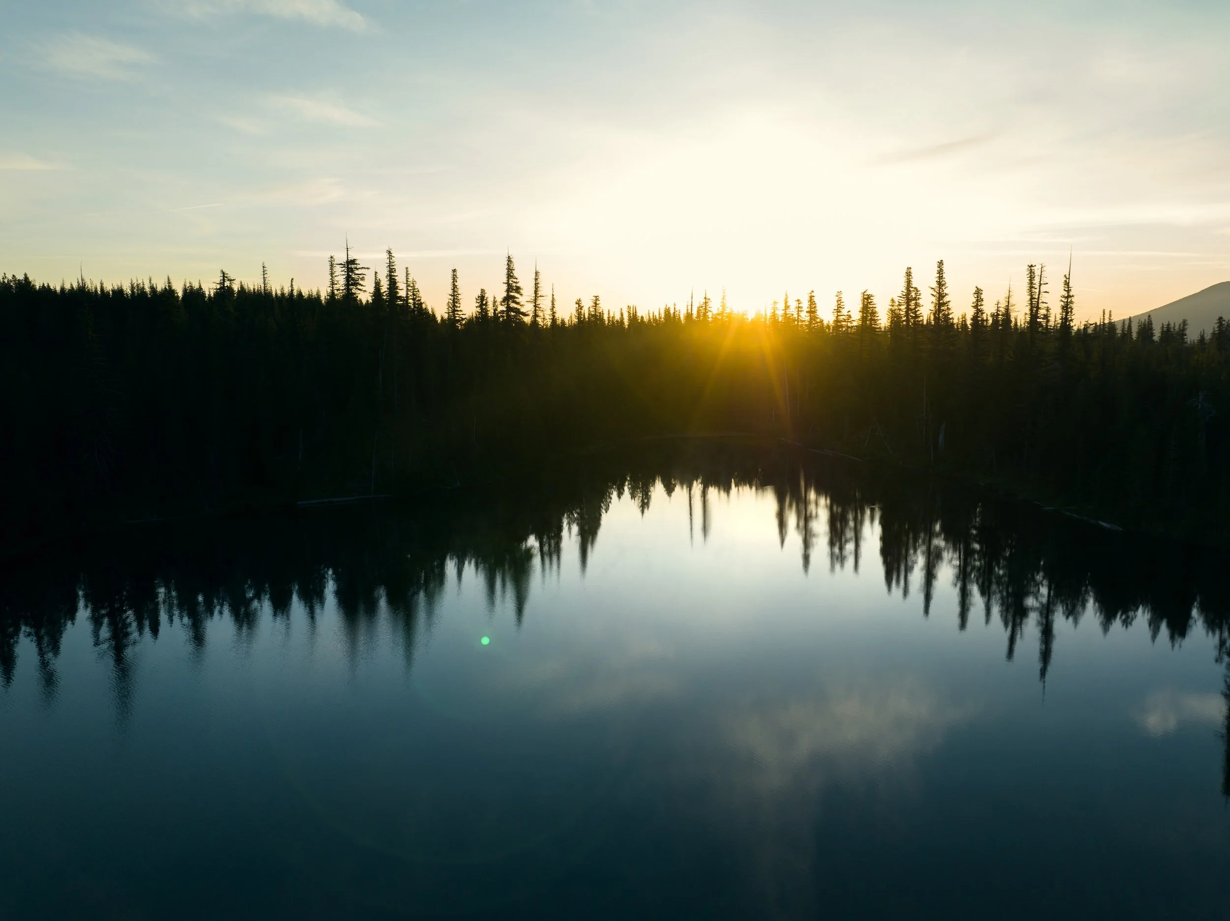 Embracing the Generative AI Revolution: The Chief Data Officer's Role