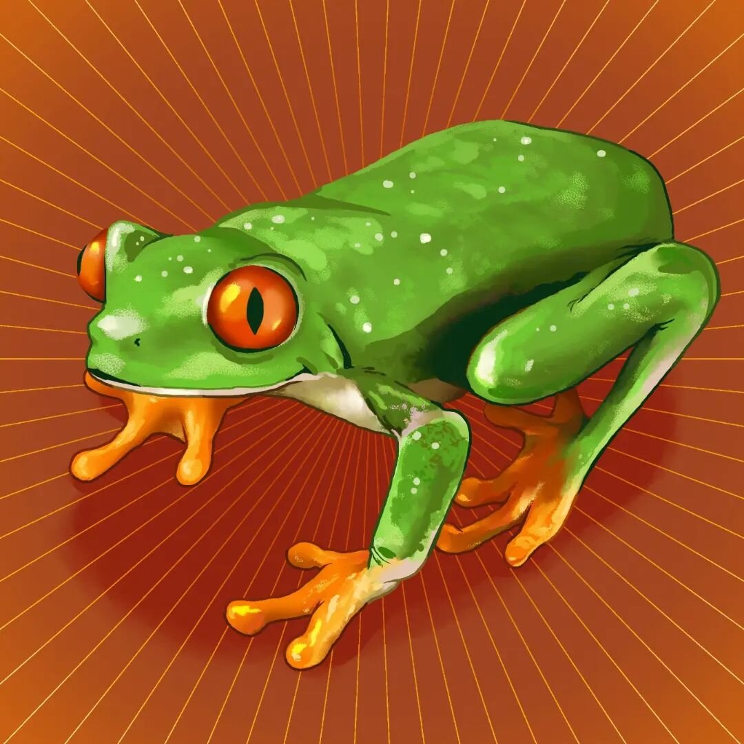 I grant you a frog 🐸