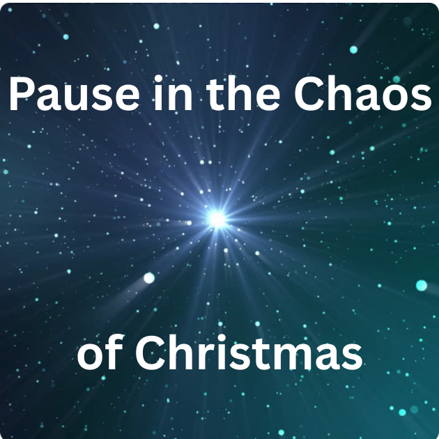 Pause in the Chaos of Christmas (1).png