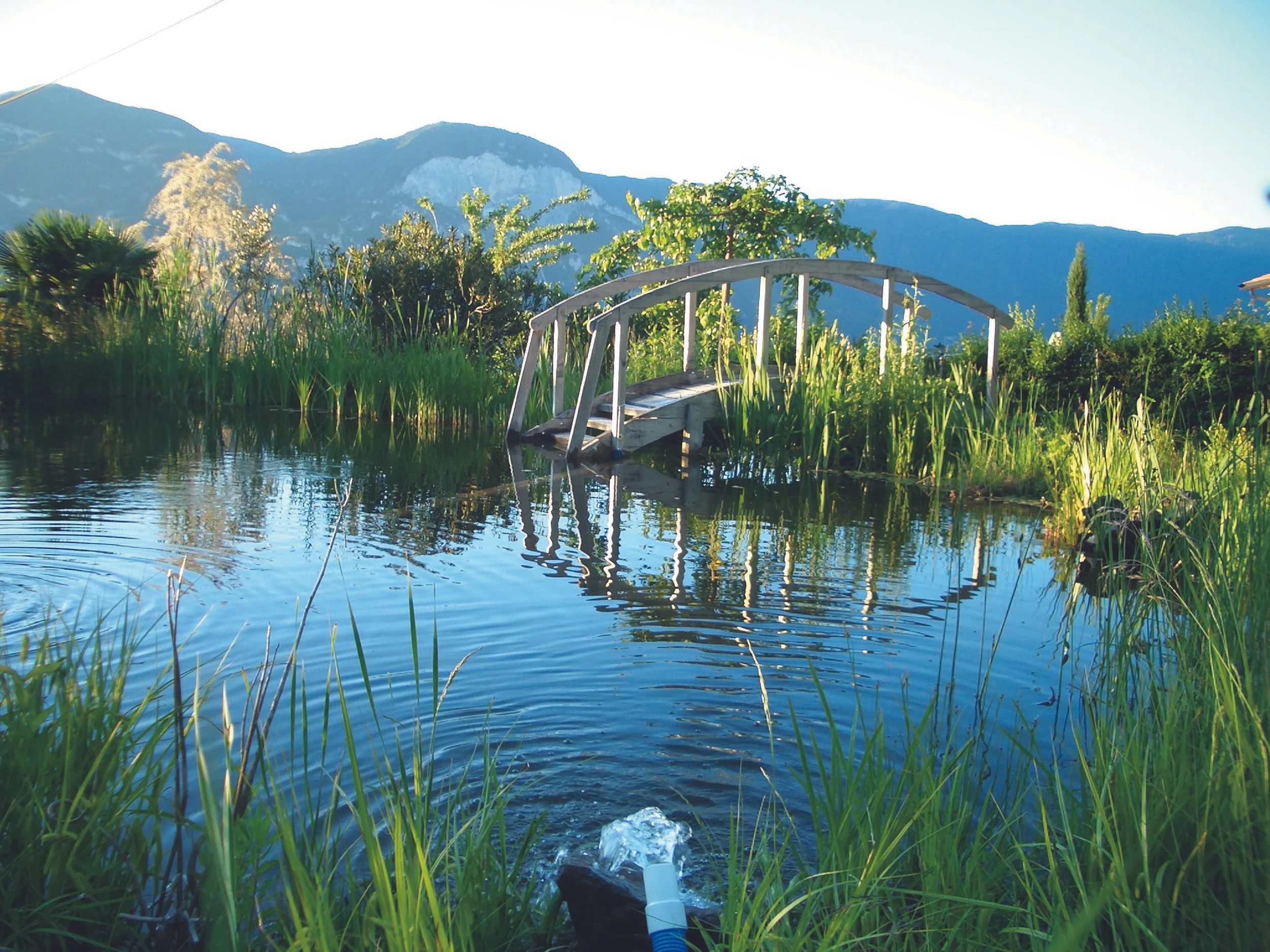 Teich-Milla-Biolago.jpg