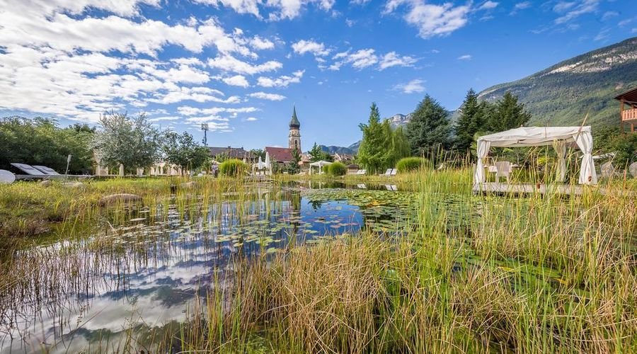 Natur Teich Milla Weingarten mit Pflanzen.jpg