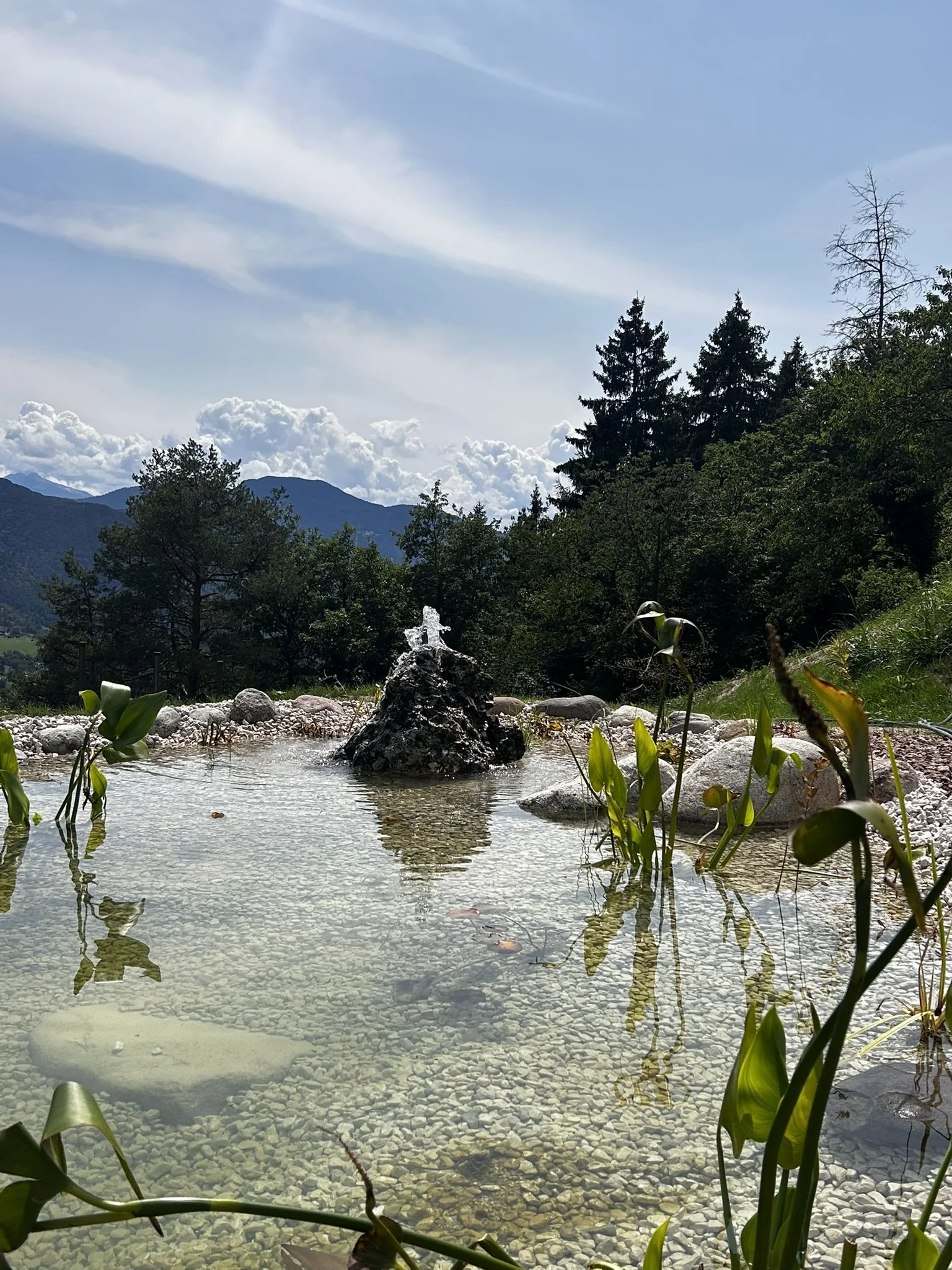 MILLA 2025_Dickerhof (4).JPEG