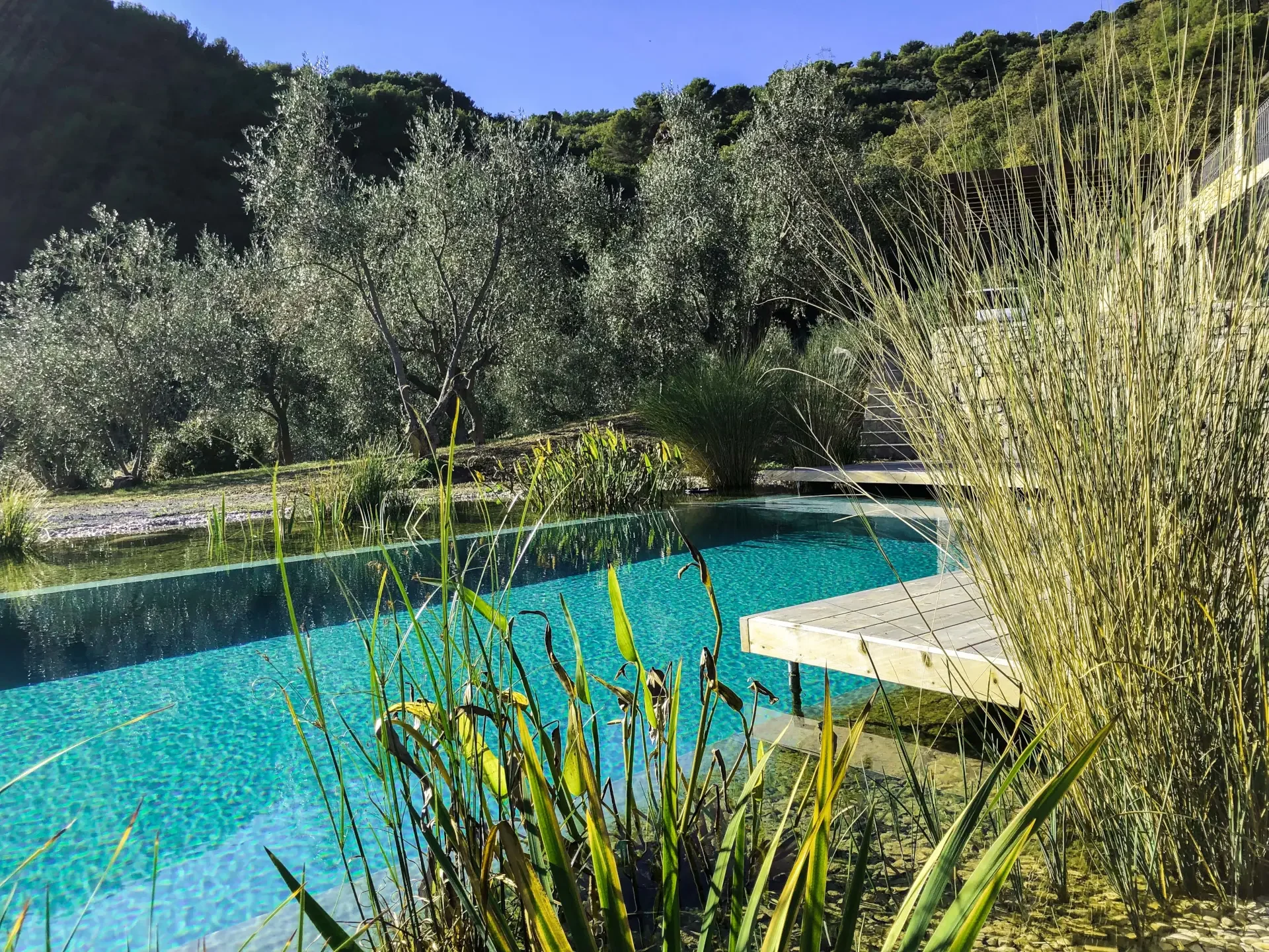 Biolago Aqua Sana Nature in Liguria