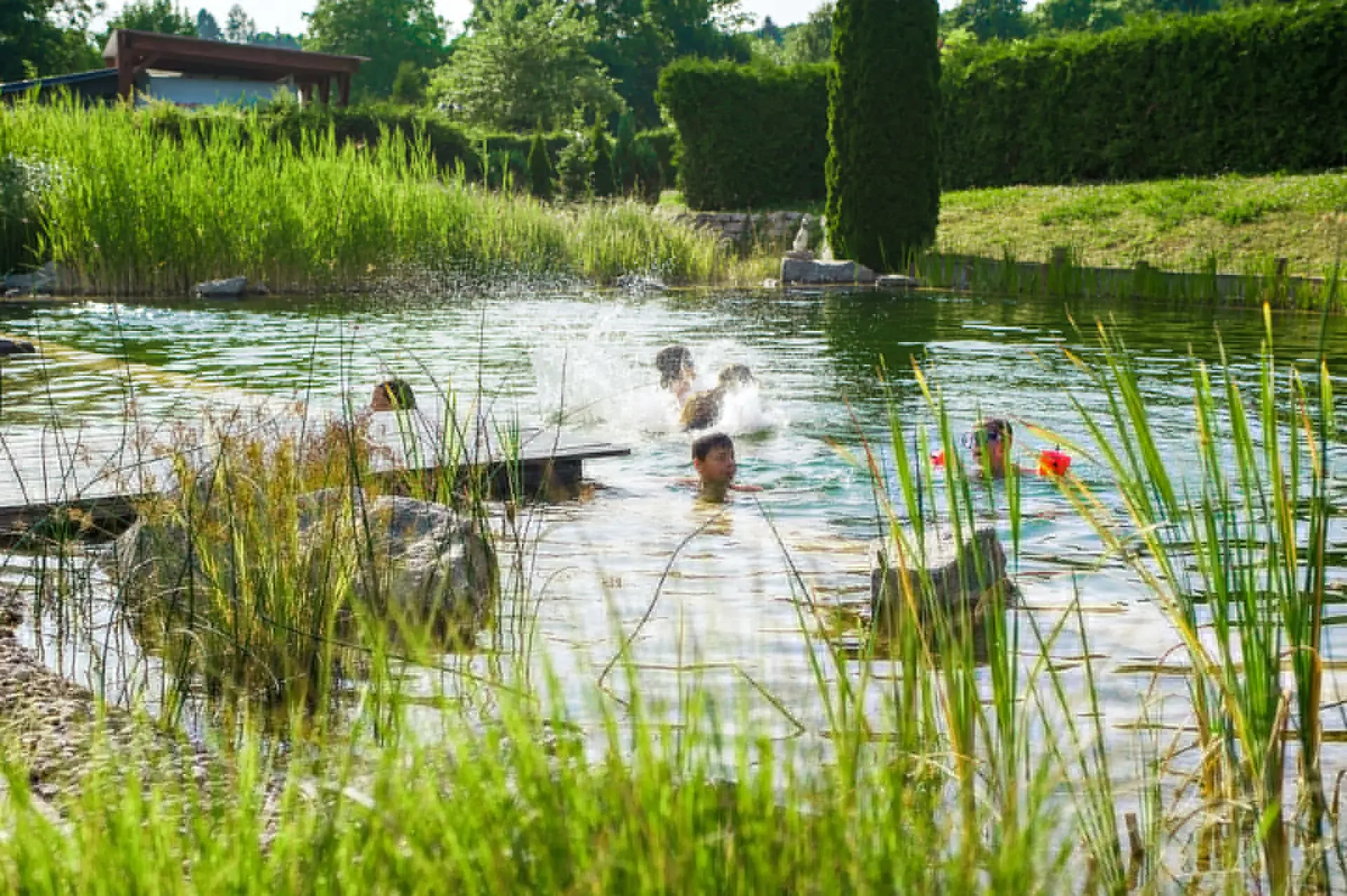 Bioteich Nature Wasserpflanzen