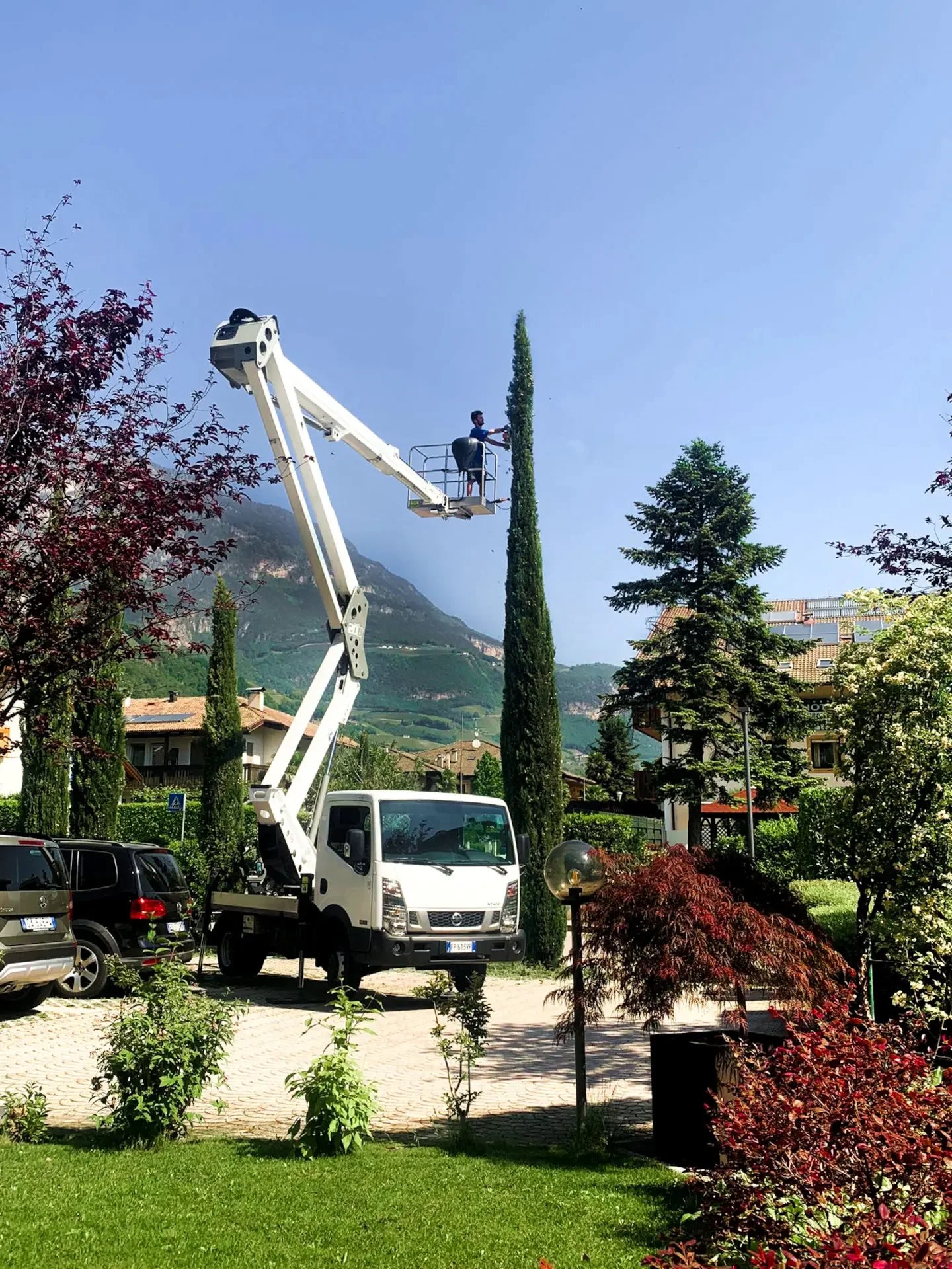 Milla Gartenpglege Zypressen schneiden mit Hebebühne SüdTirol