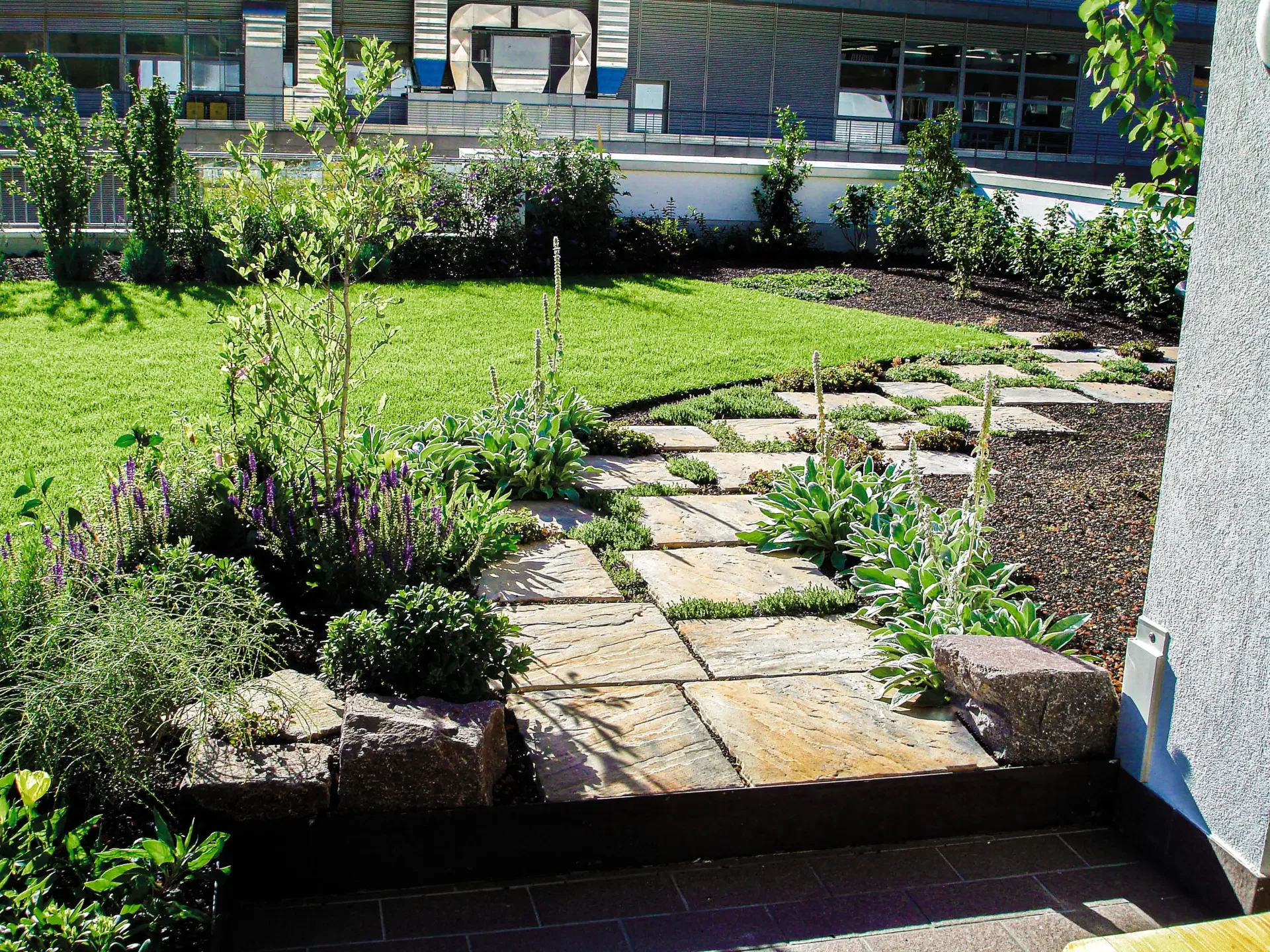 Milla Tetto verde Alto Adige