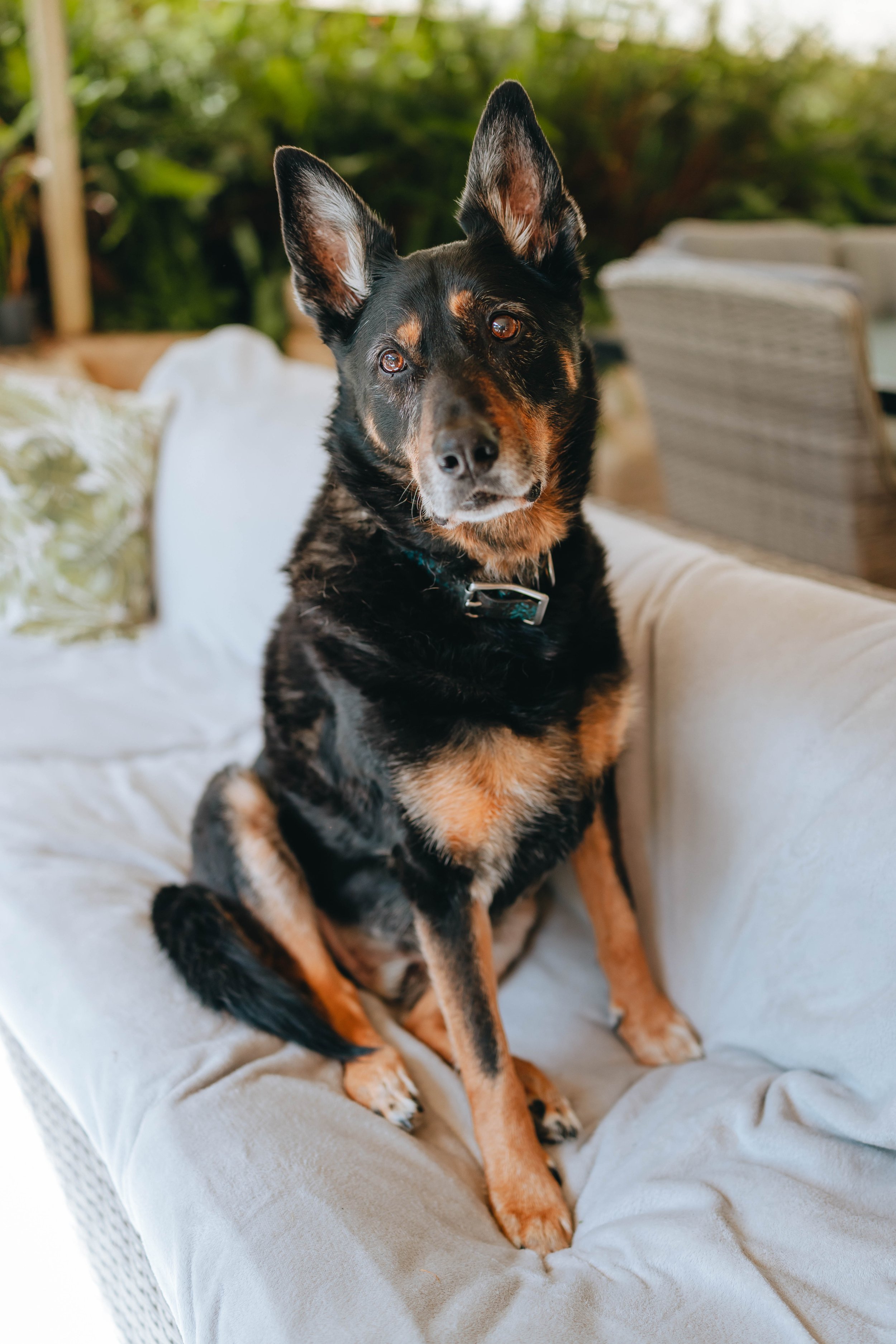 SNAPS.ASHA-53.jpg