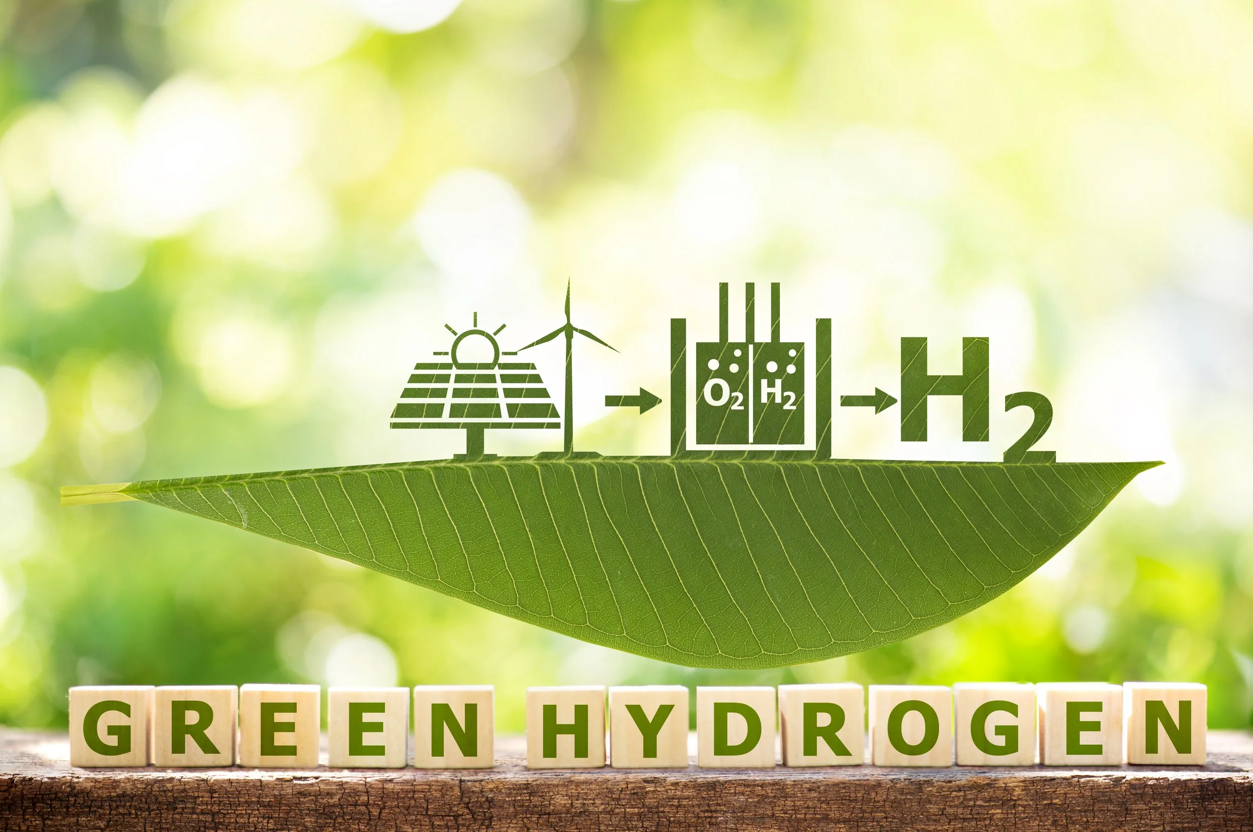 Co-Producing Green Hydrogen and Bio-Acids from Biomass Shows Environmental and Economic Potential