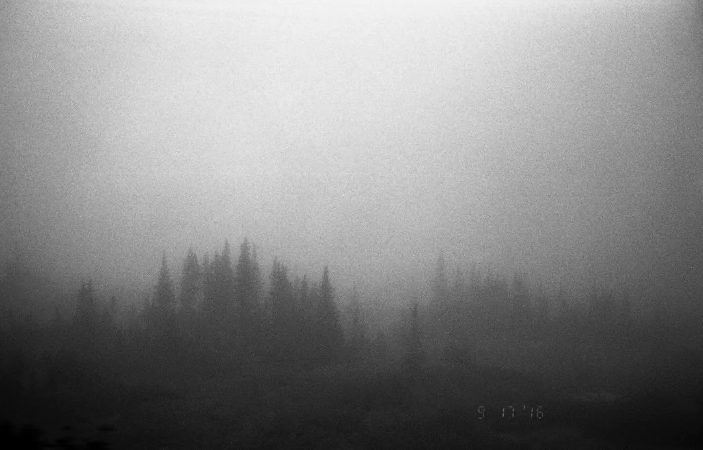Glacier National Park #glaciernationalpark #35mm #kodaktrix400