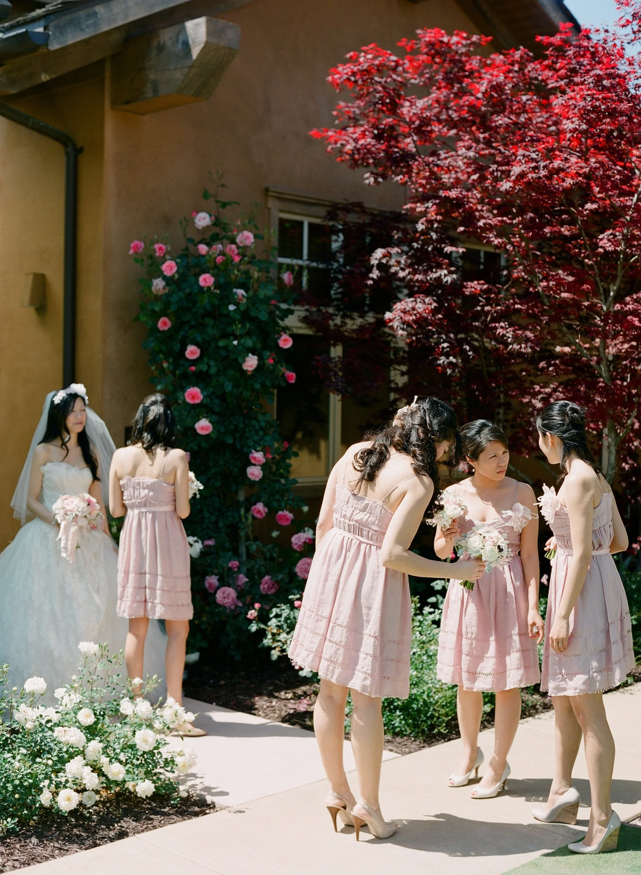 A group of women in pink dresses gather outdoors on a sunny day with a red-leafed tree and pink roses in the background, possibly at a wedding or special event.