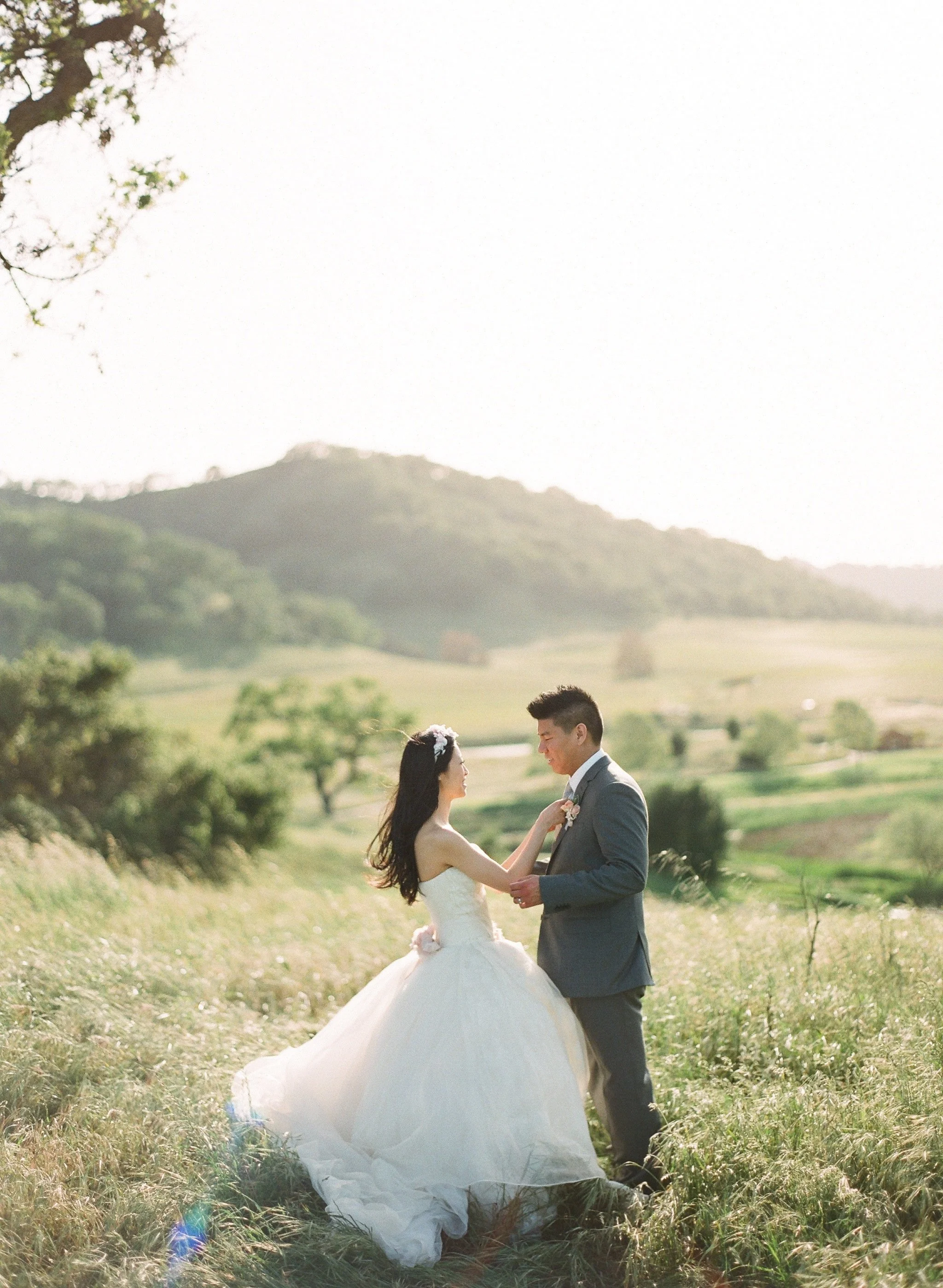 A bride and groom standing in a field with a mountain in the background, holding hands and looking at each other.