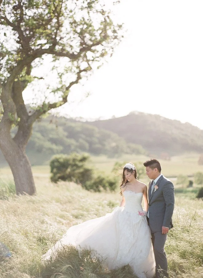 A bride and groom stand in a grassy field with a large tree and rolling hills in the background, illuminated by soft sunlight.
