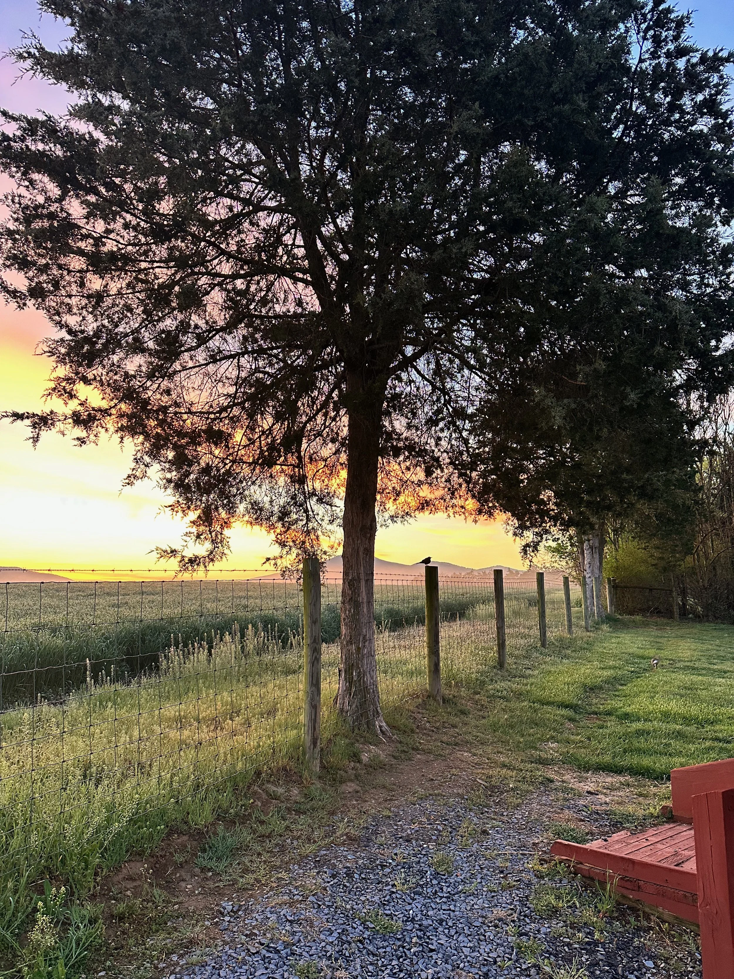 Shenandoah - 7 (1).jpeg