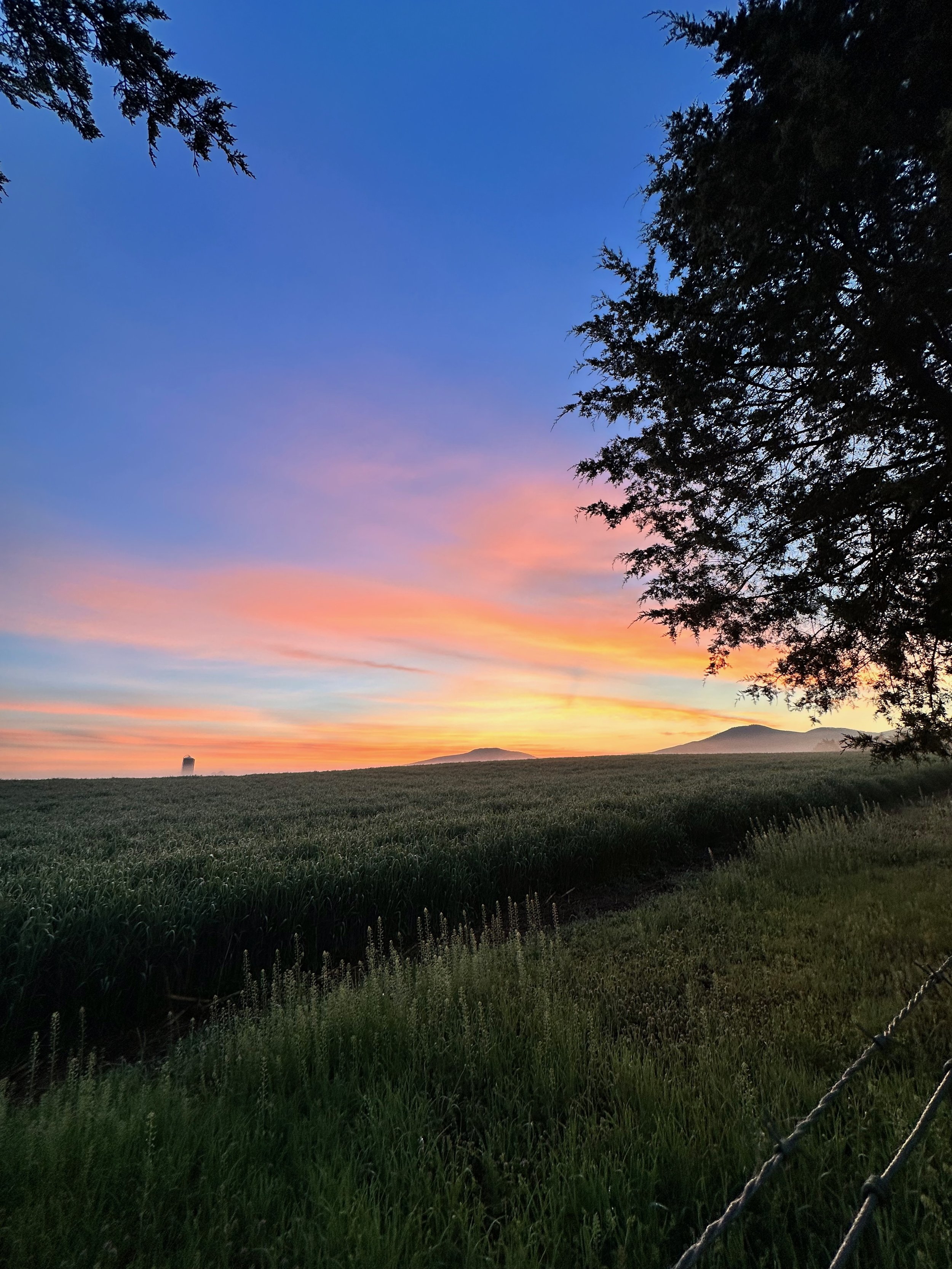 Shenandoah - 8 (1).jpeg