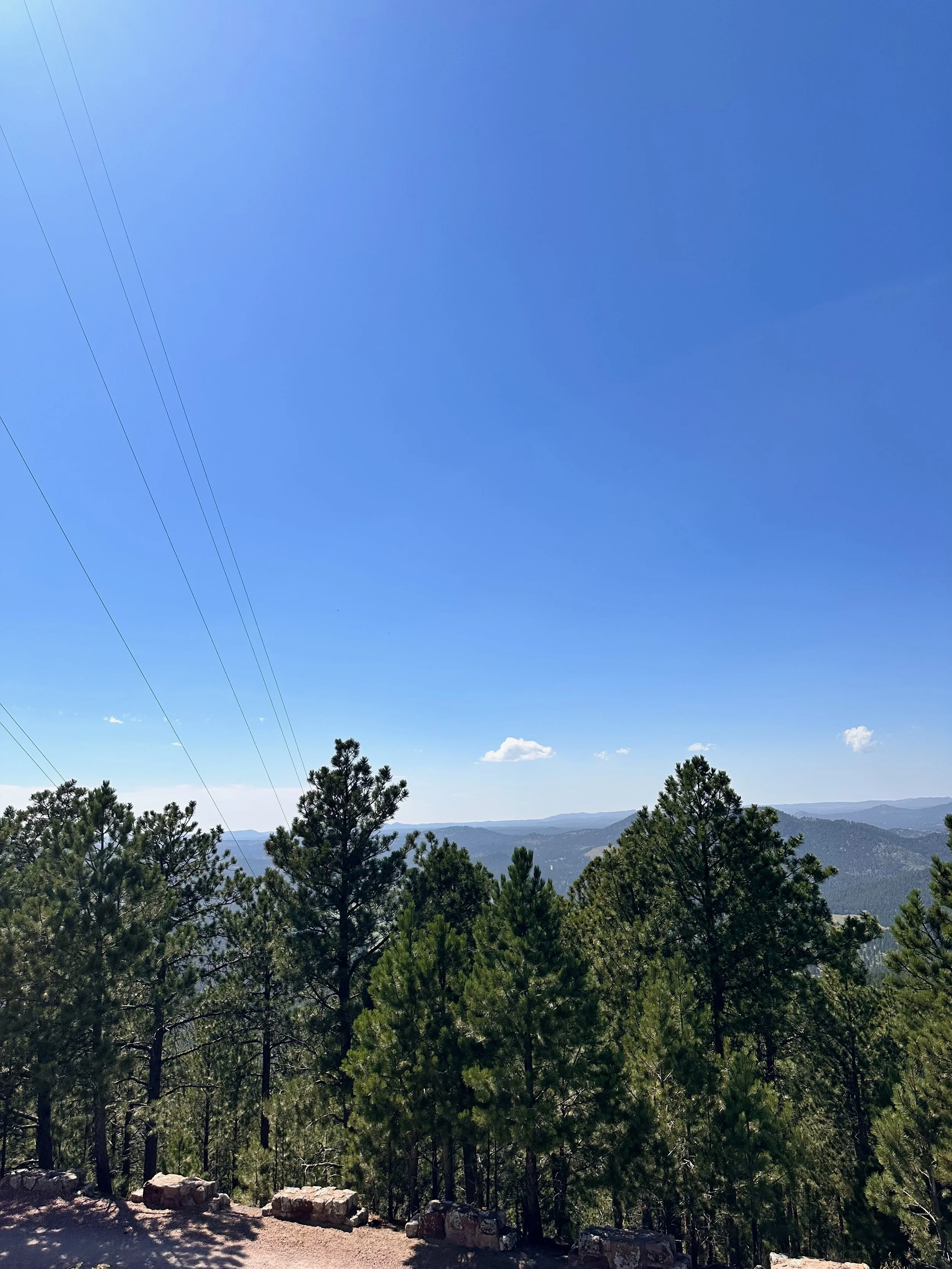 IMG_4484.jpeg