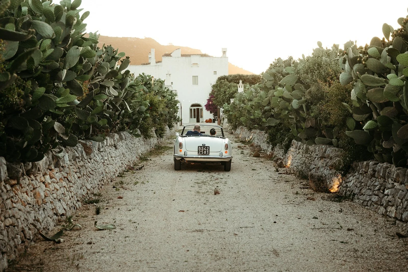 El coche de los novios llega a la masseria por un camino entre chumberas y muros de piedra