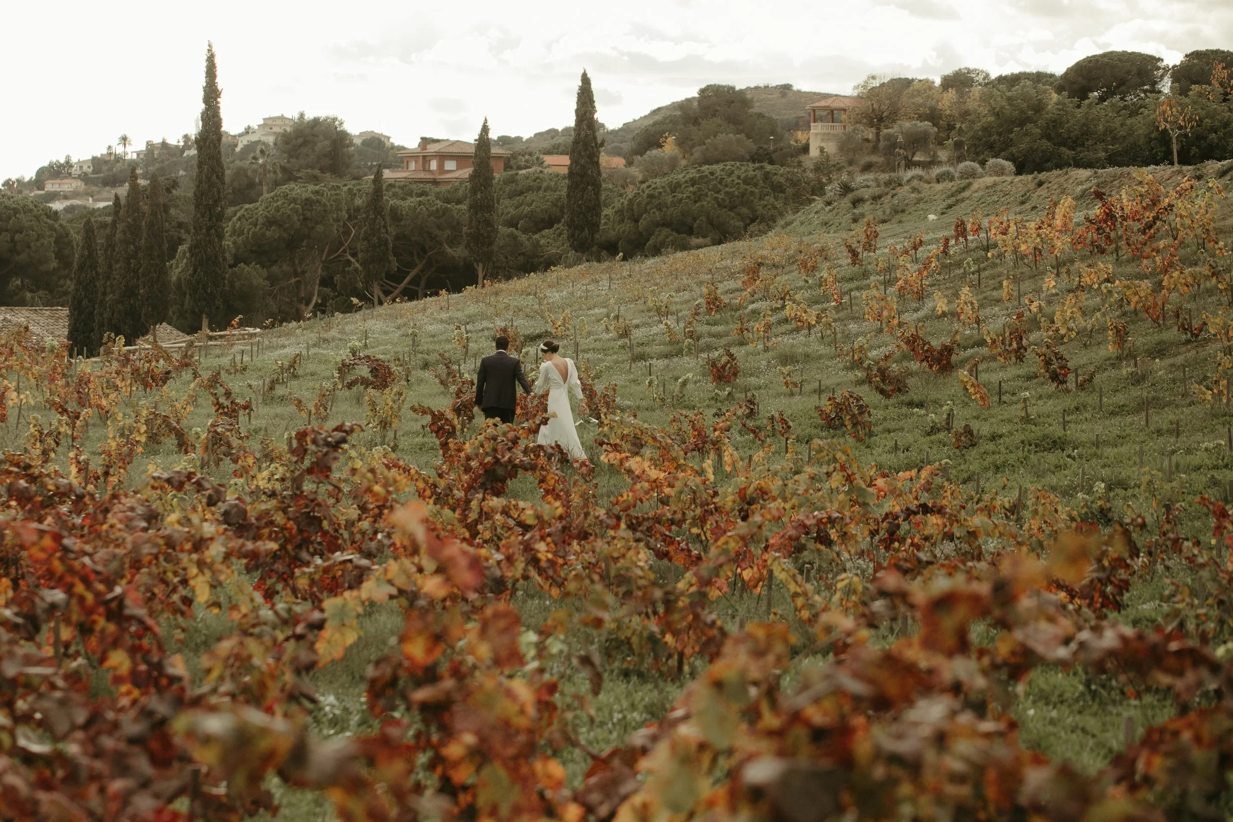 Pareja de novios caminando por un viñedo en otoño, rodeados de árboles y colinas en el fondo.