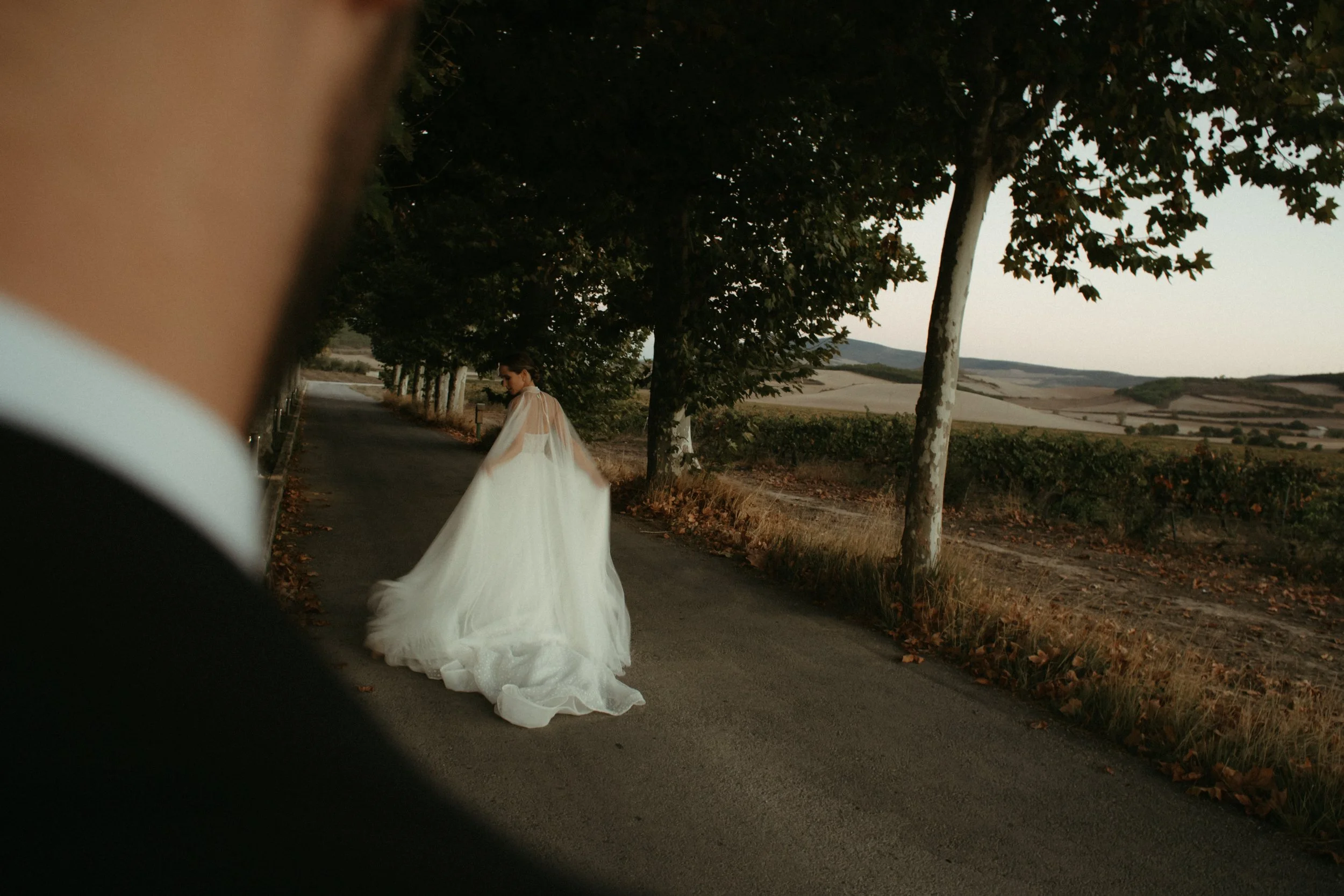 Mujer con vestido de novia en un camino rodeado de árboles en un paisaje rural al atardecer.