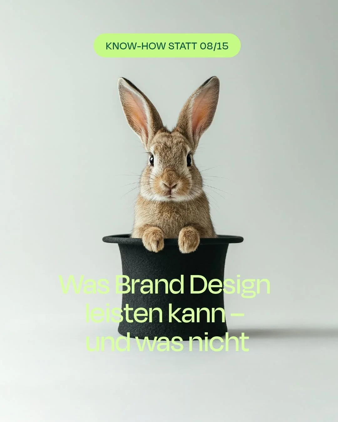Viele überschätzen, was Design alleine leisten kann.
Und unterschätzen, was möglich ist, wenn es auf einem echten Fundament steht.
Brand Design ist kein Shortcut zu Erfolg.
Es ersetzt kein Marketing, kein Produkt, keine Strategie
