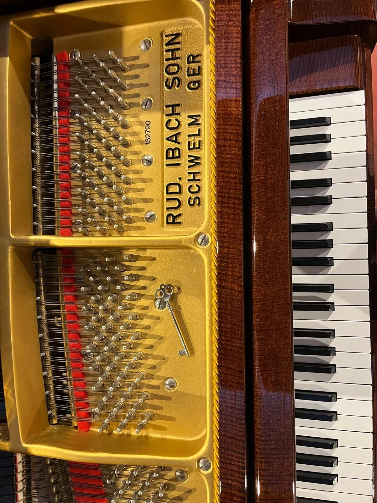 PHOTO-2026-03-06-10-58-23 4.jpg