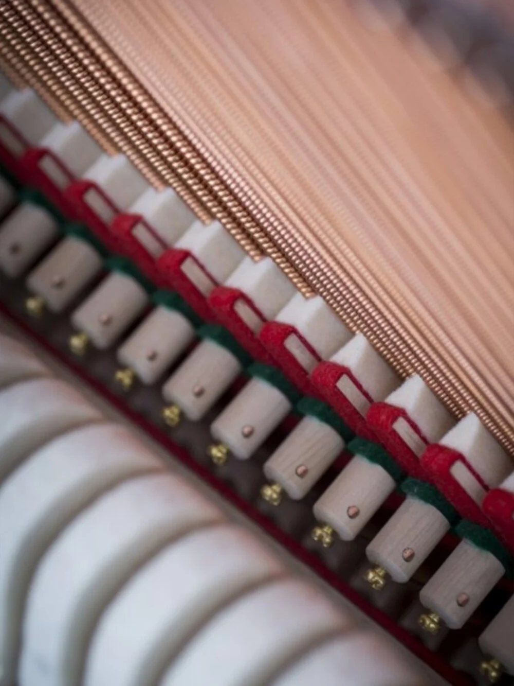 Close-up van de snaren en hamers van een piano binnenwerk.