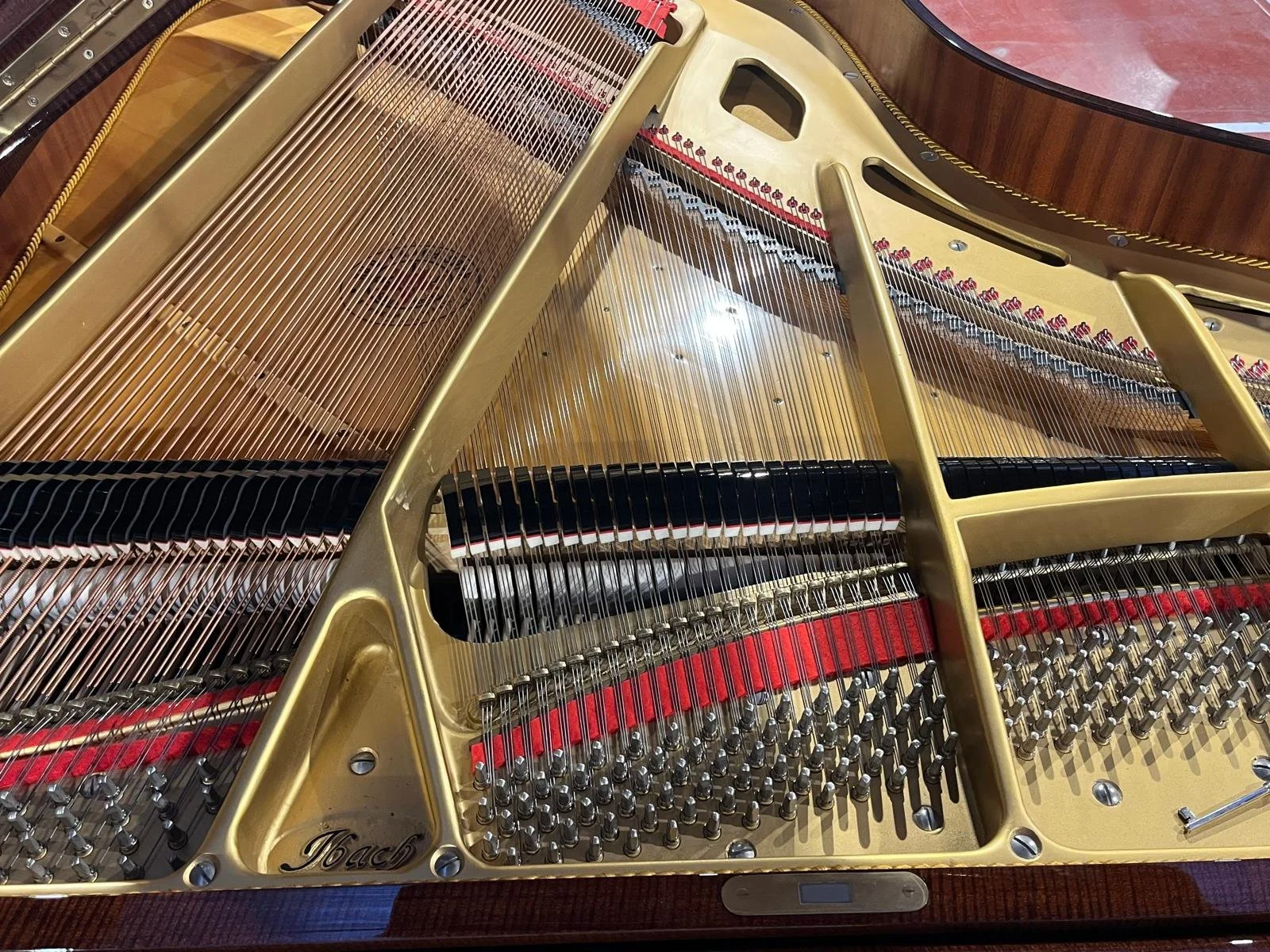 PHOTO-2026-03-06-10-58-23 3.jpg