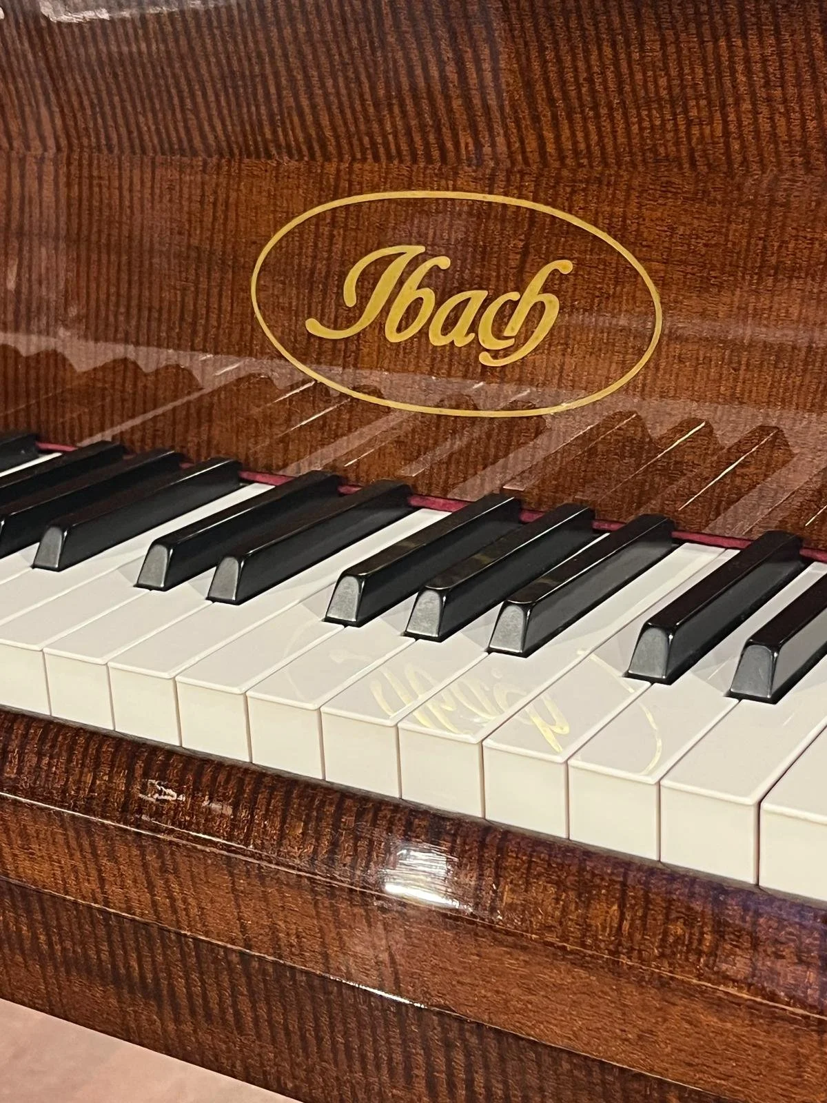 PHOTO-2026-03-06-10-58-23 2.jpg