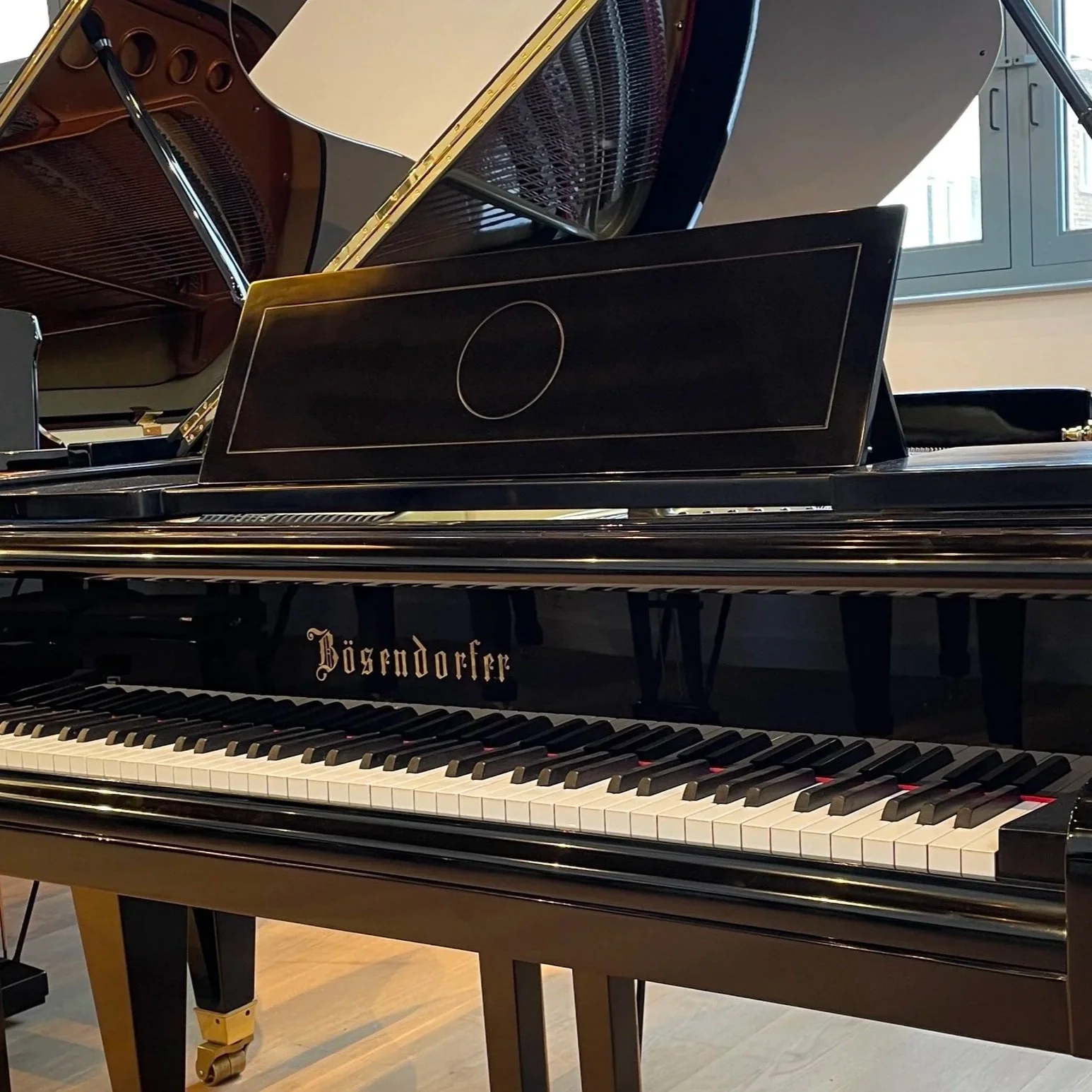 Bo%CC%88sendorfer+170.jpg