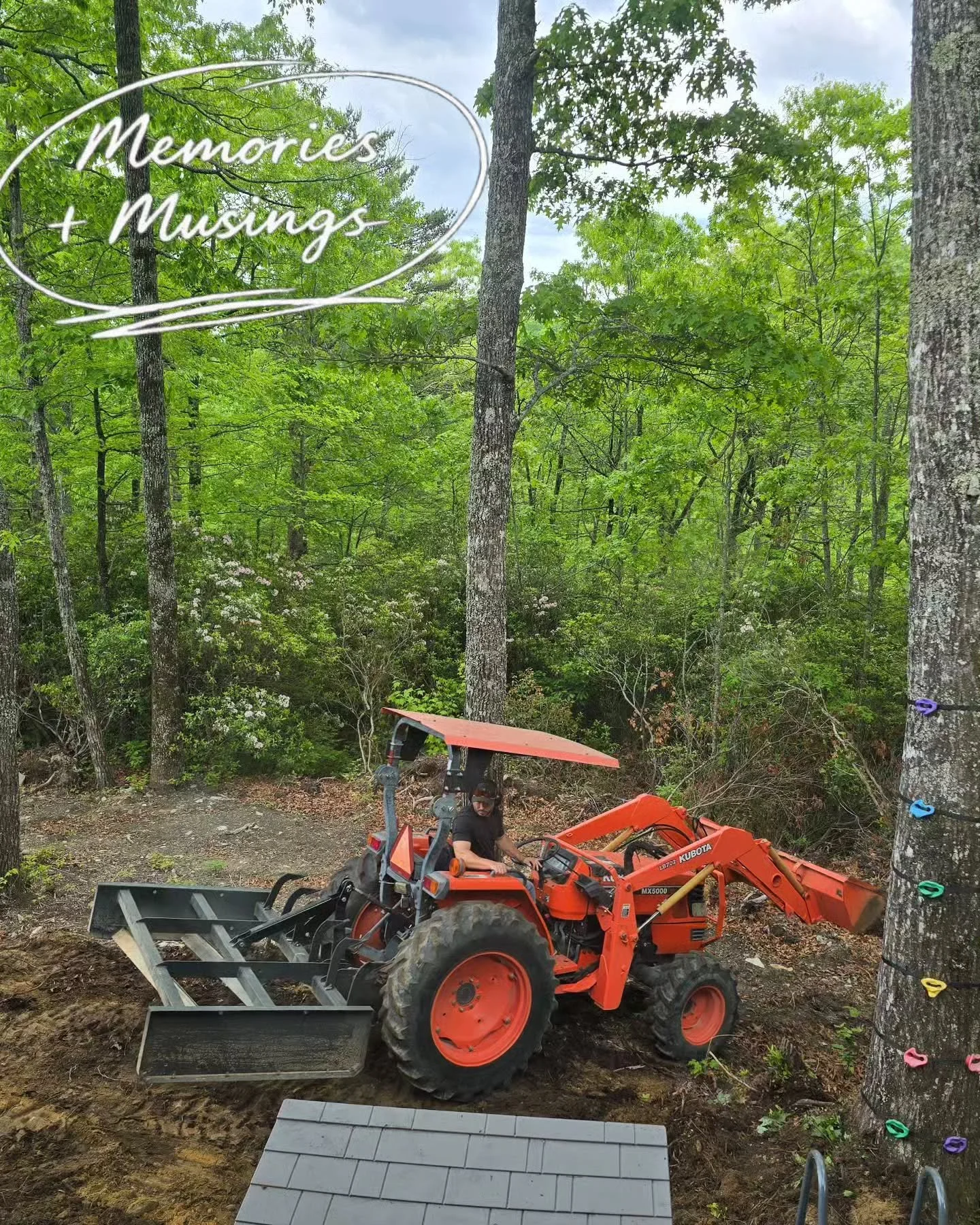 Okay, hear me out , I have to live by the design process too.

We decided to flatten and clear our "backyard" for a pool and eventual patio.  Did we decide to actually build the pool yet? No. That's happening next year since we decided to b