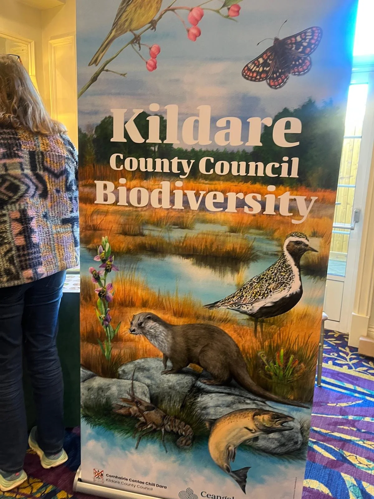 Protecting Biodiversity in Kildare: From Our Hedgerows to Our Local Streams