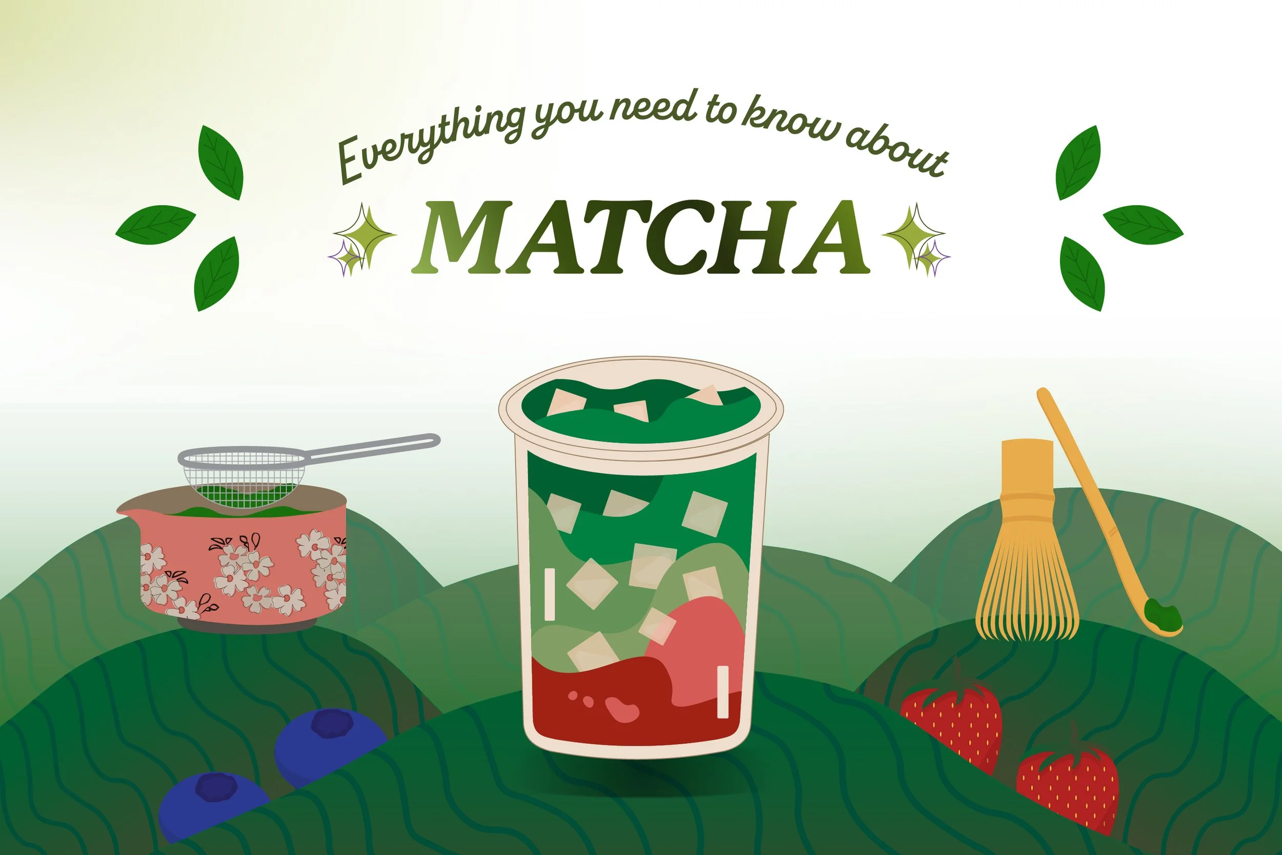 Everything You Need to Know about Matcha