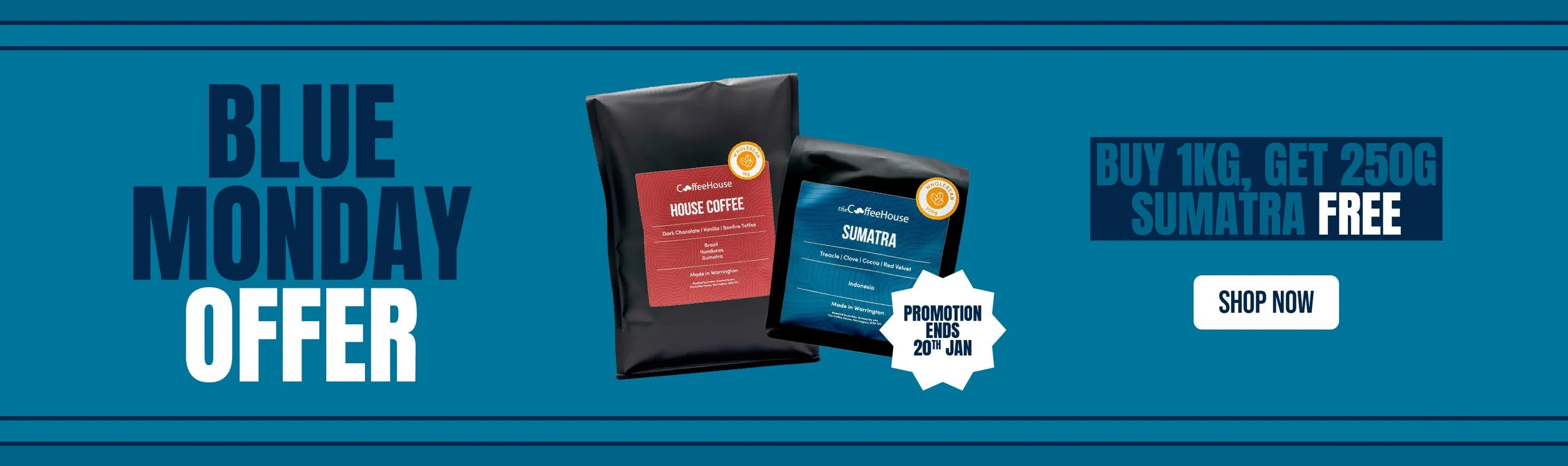 Blue Monday Jan 26-Web Banner.jpg