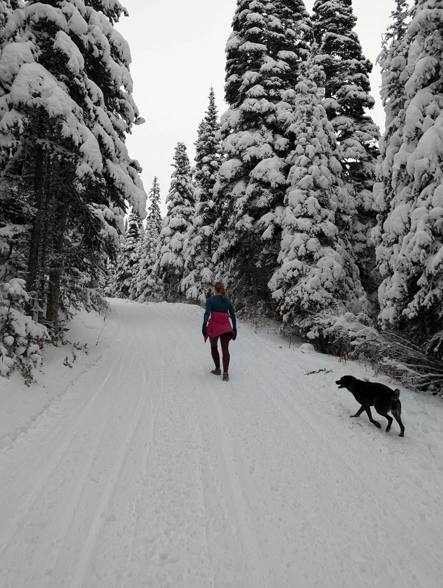 Hello lovelies!  I&rsquo;ve been taking a break from social media entirely lately, and it&rsquo;s been pretty darn wonderful. 

More time to read books. 📖

More time to be present with my people and furries. 🐶💓

Less competition for thought and em