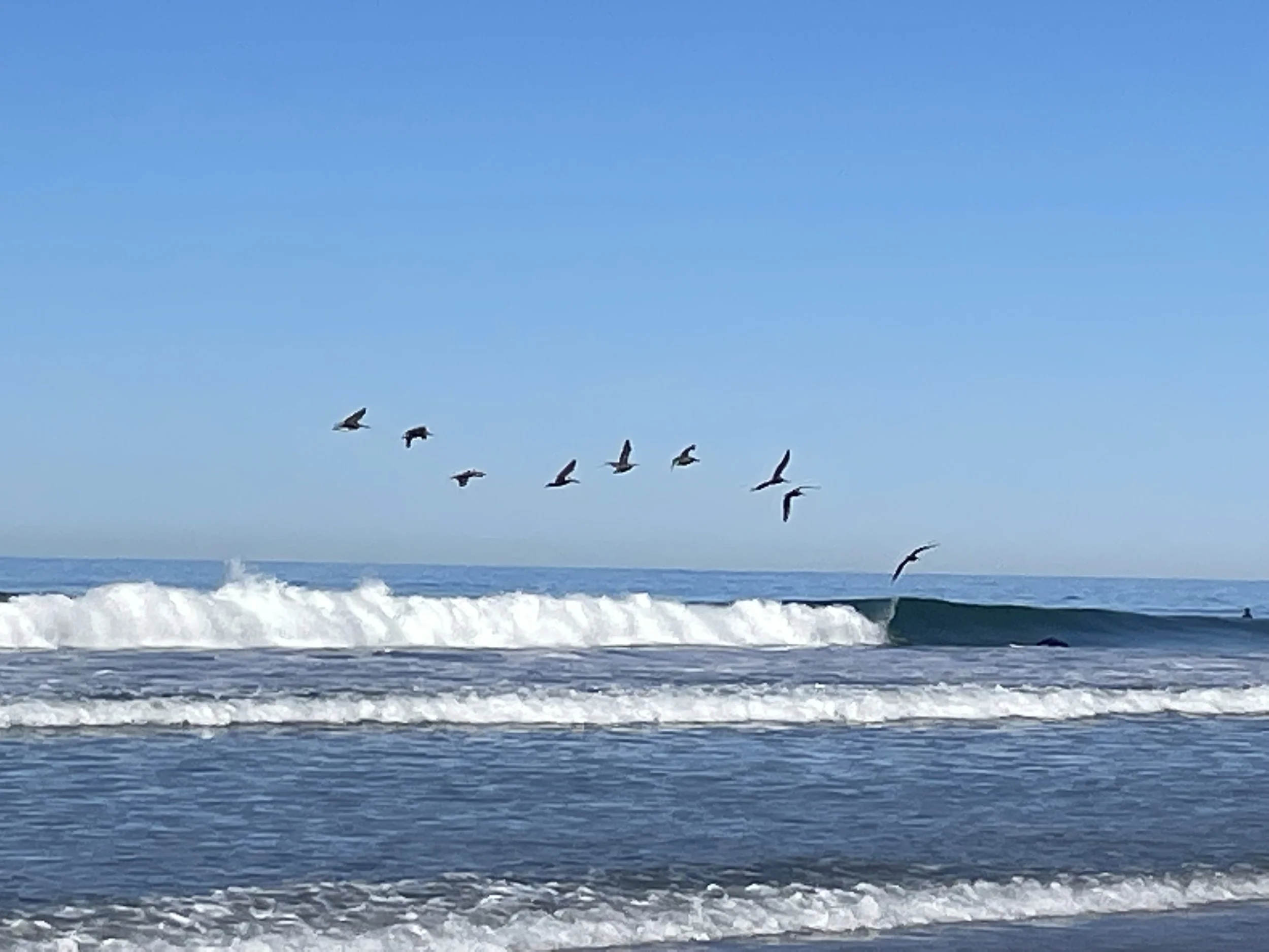 Navigating the Political Divide: How to Talk Politics with Your Spouse