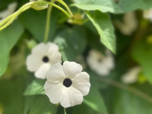 Grieving Over War: The Unspoken Heartache of a World in Conflict