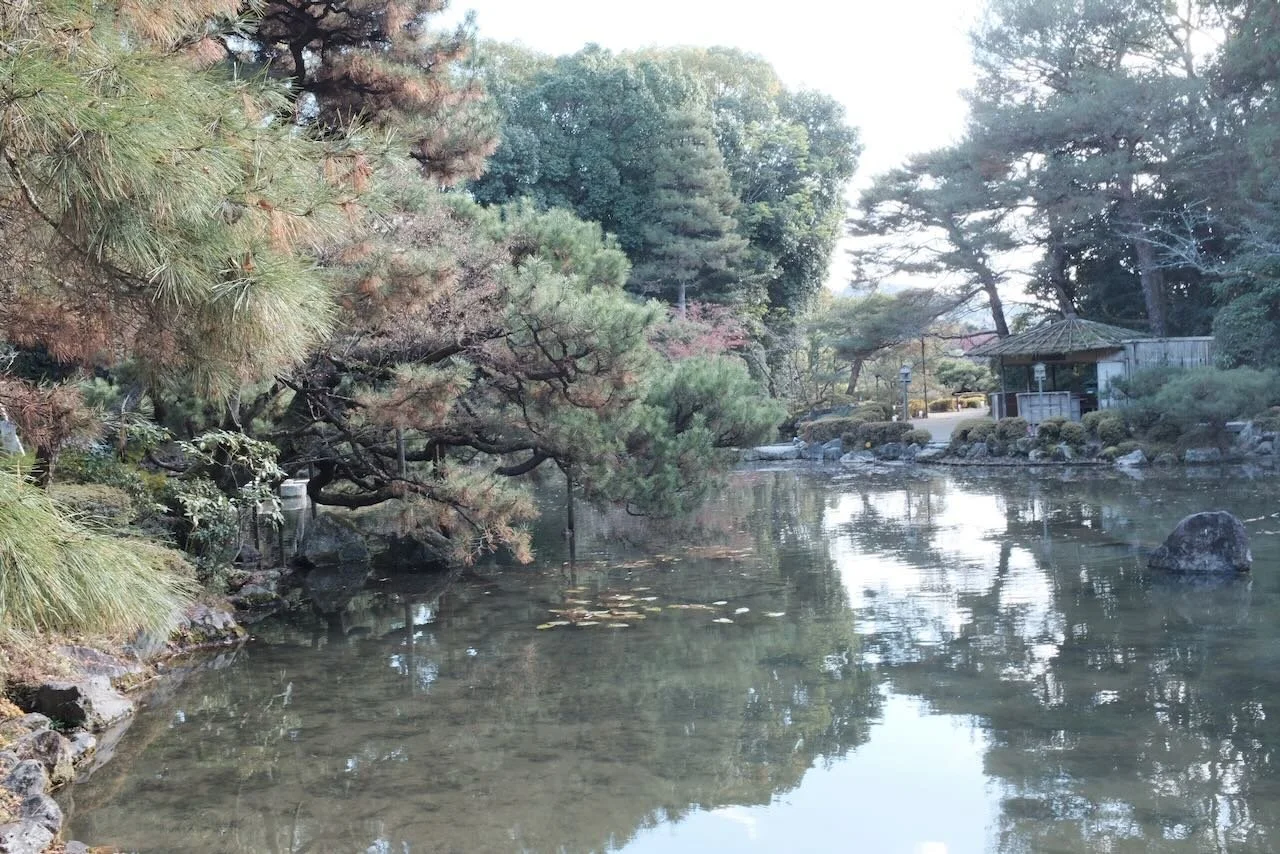 Navigating Helplessness in Times of War: A Grief Therapist's Perspective