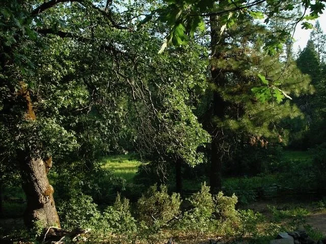 Navigating the Waves of Heartbreak: A Grief Therapist's Guide to Healthy Healing