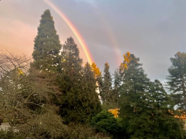 Trusting Love: A Couples Therapist's Guide to Building Lasting Trust in Relationships