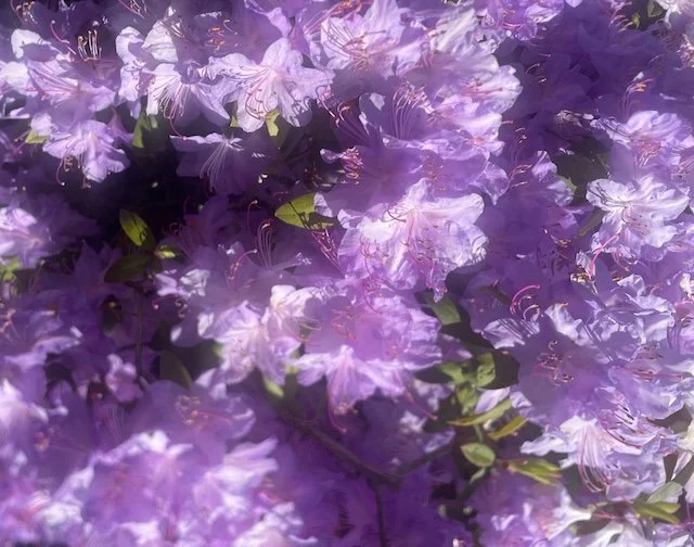 Signs That Grief Therapy Is Working: A Guide from a Seattle Grief Therapist