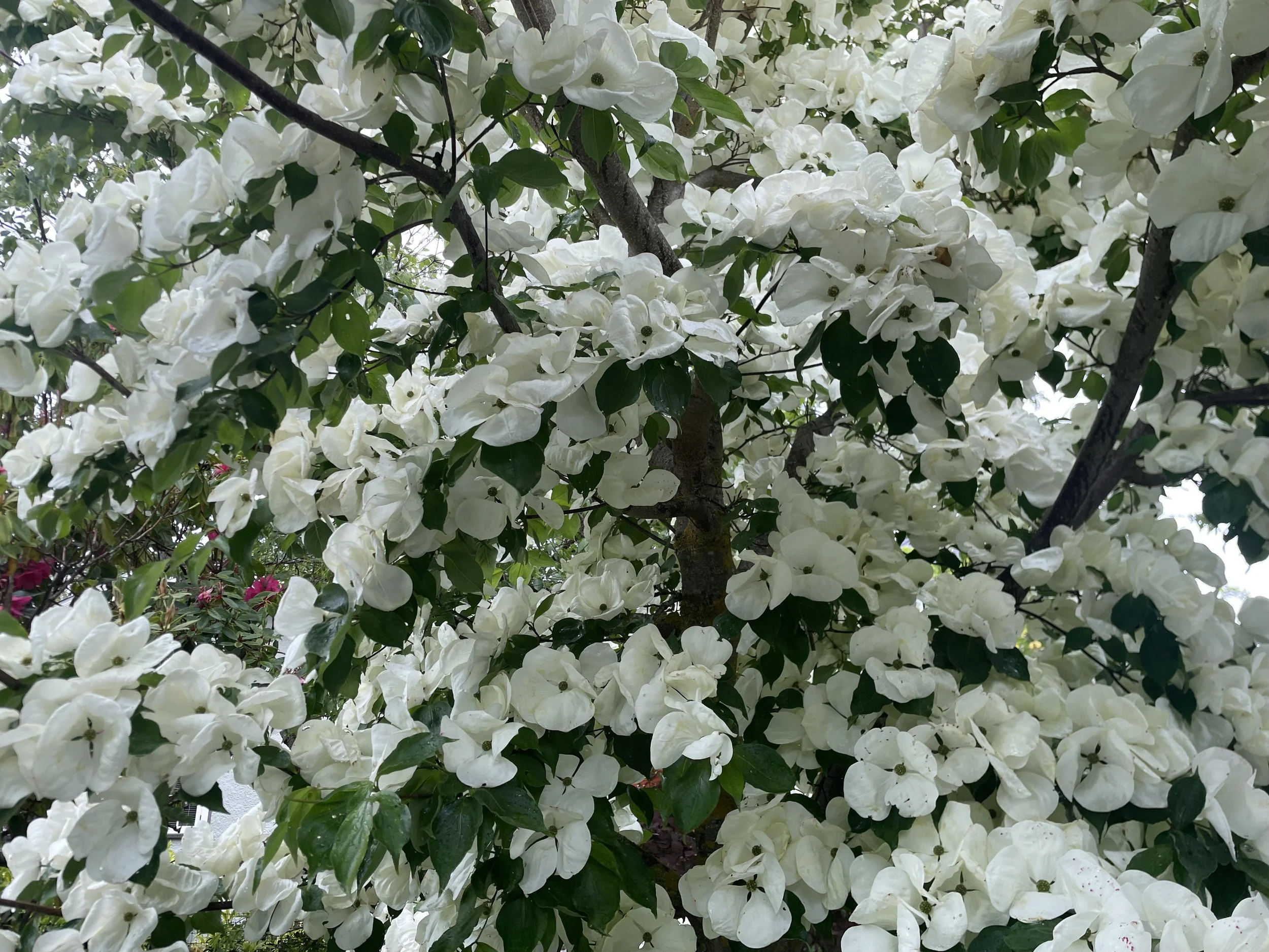 How you can support a neurodivergent partner.