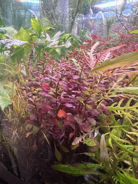 No Vacation from Grief: Traveling with a Heavy Heart