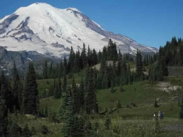 Can a Relationship Survive Infidelity? A Gottman Method Perspective