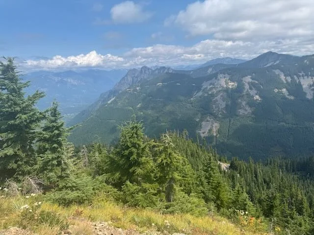 Three Paths in Discernment Counseling: Which One Is Right for Your Relationship?