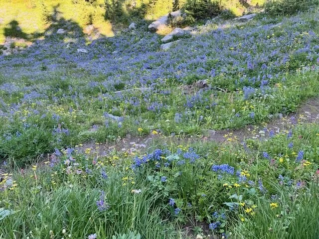 How to Manage Conflict When One Partner Avoids Arguments