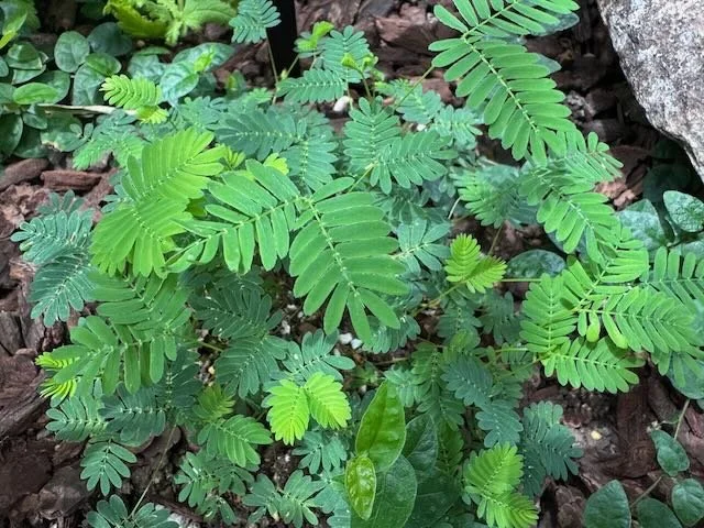 What Outcomes Can You Expect from Discernment Counseling?