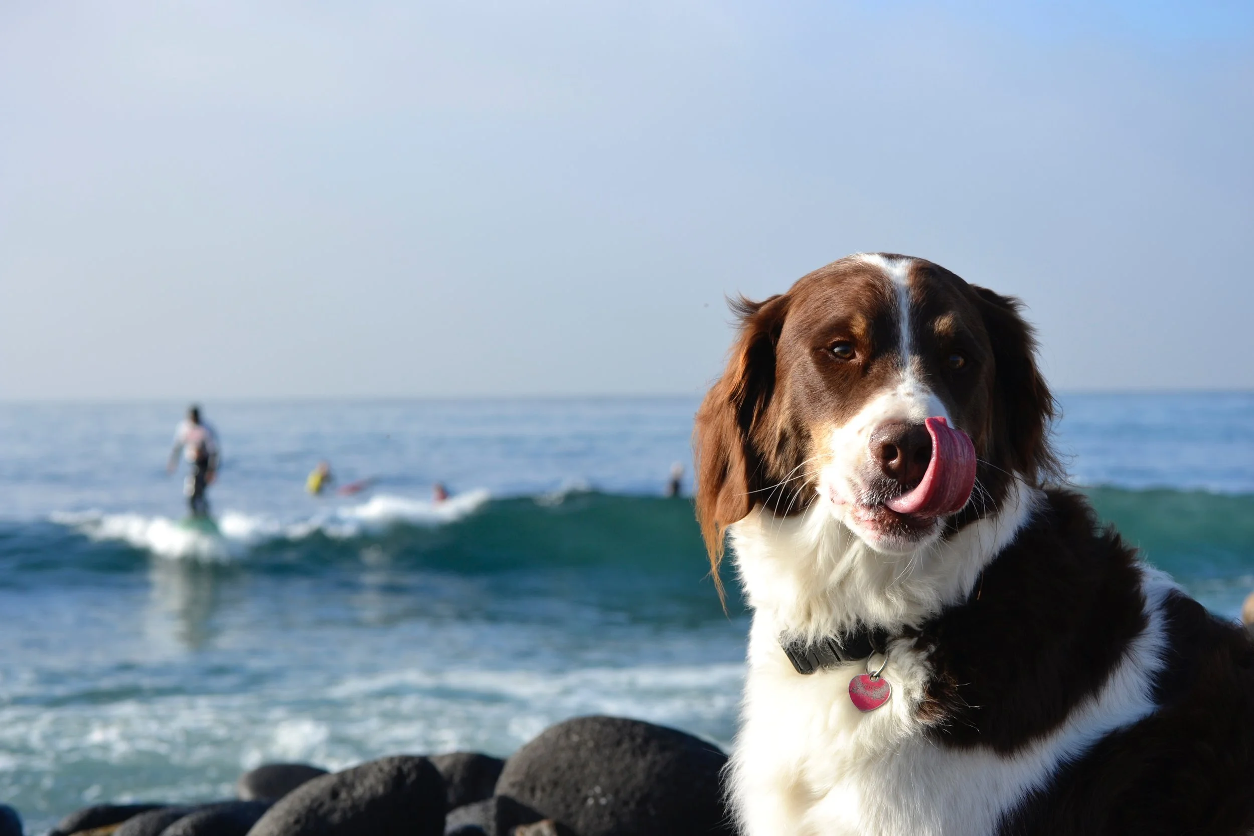 When Grief Changes Your Relationships: Navigating Distance, Conflict, and Unexpected Loneliness